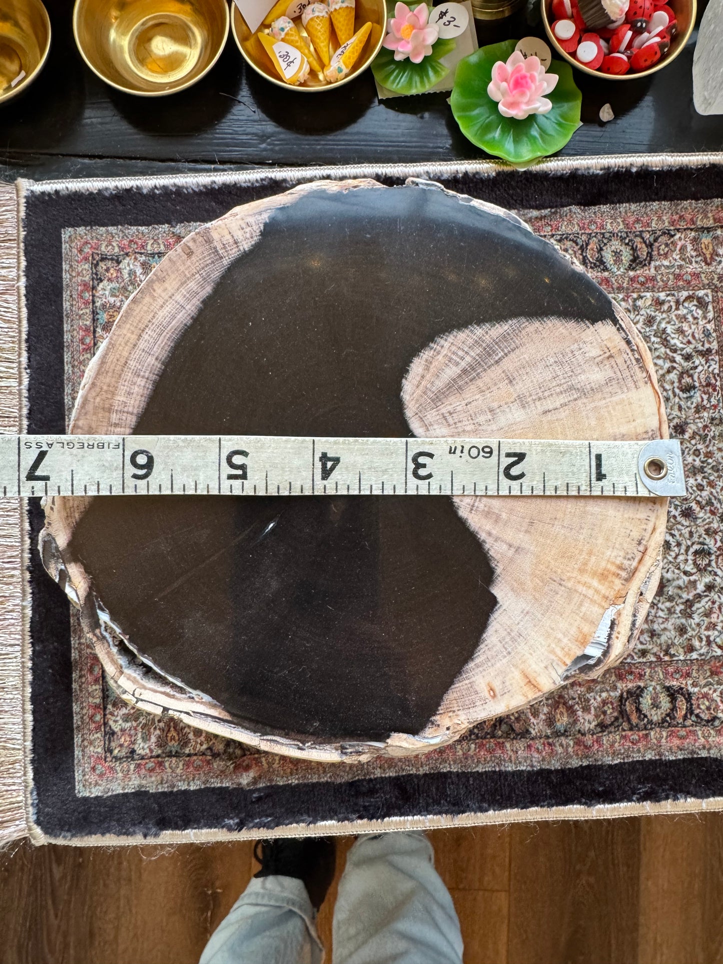 Petrified Wood Slab 2.5 lb with stand - Mexico - Moon Room Shop and Wellness