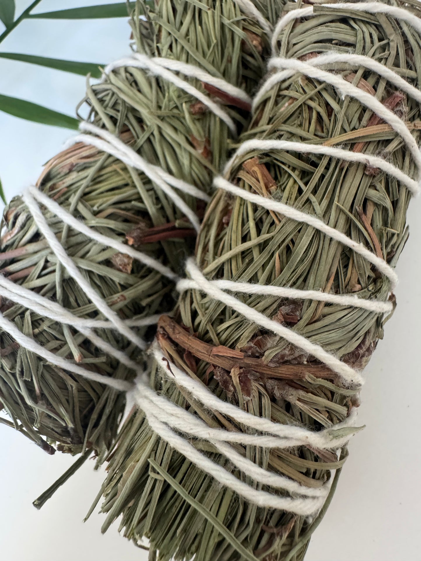Pine Herb Wands