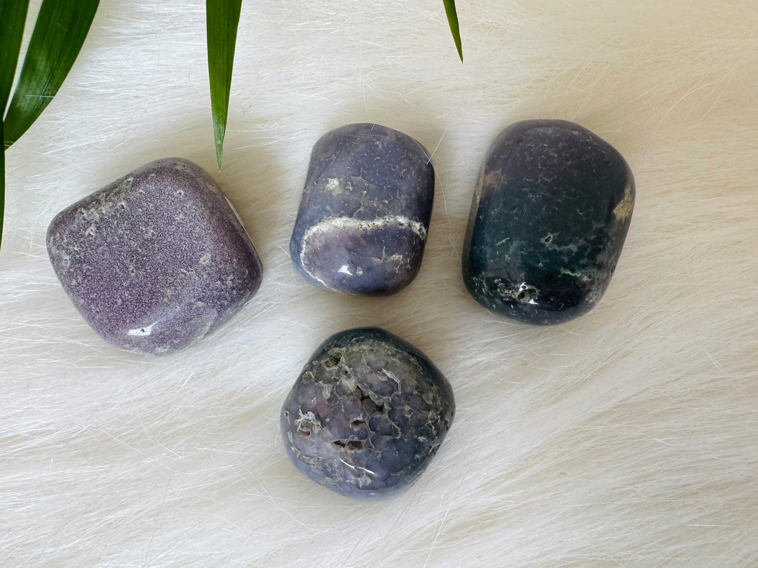 Grape Agate Tumbled Indonesia - Moon Room Shop and Wellness