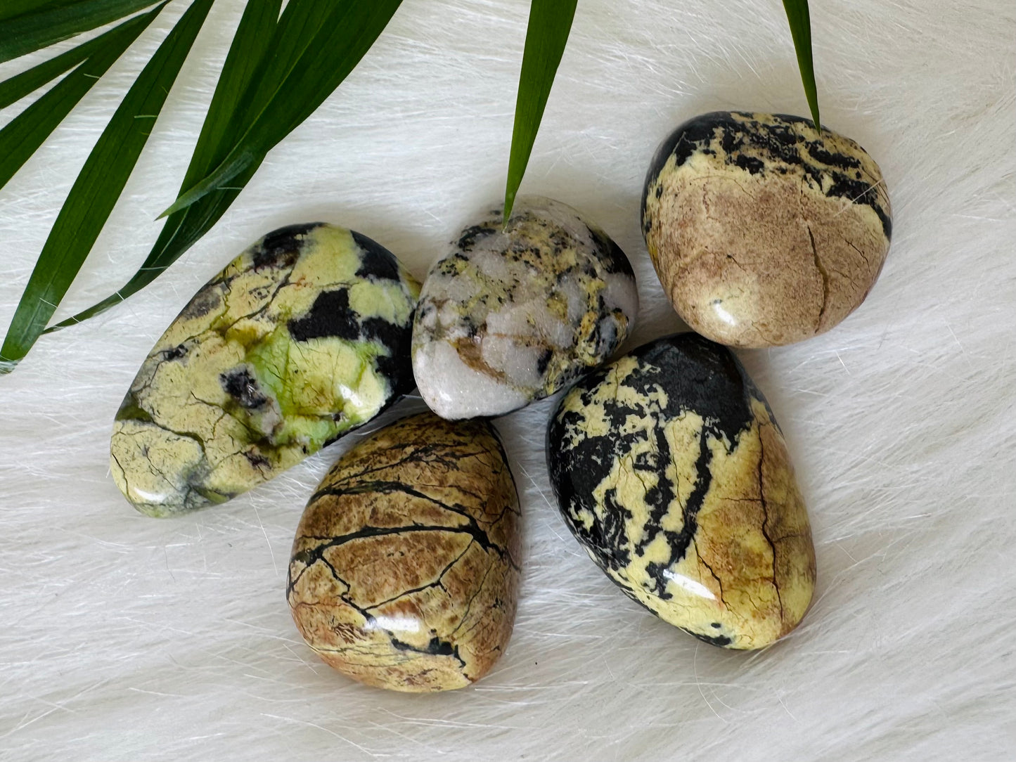 Serpentine Tumbled - Moon Room Shop and Wellness