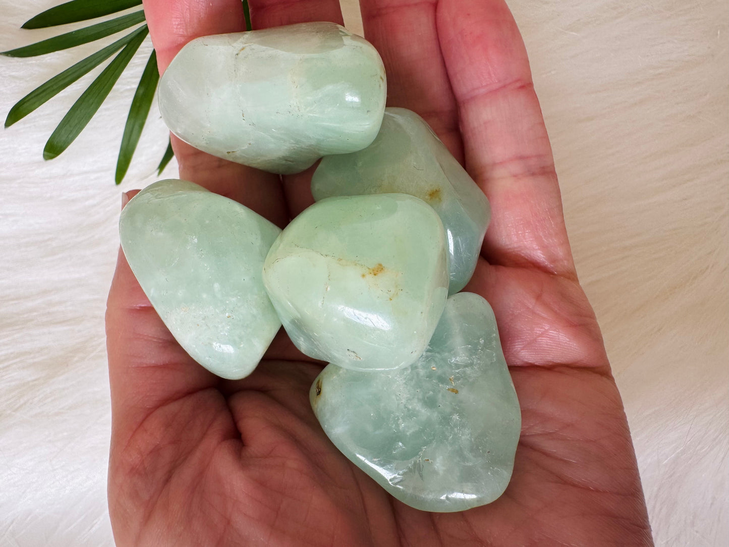 Prehnite Tumbled - Moon Room Shop and Wellness