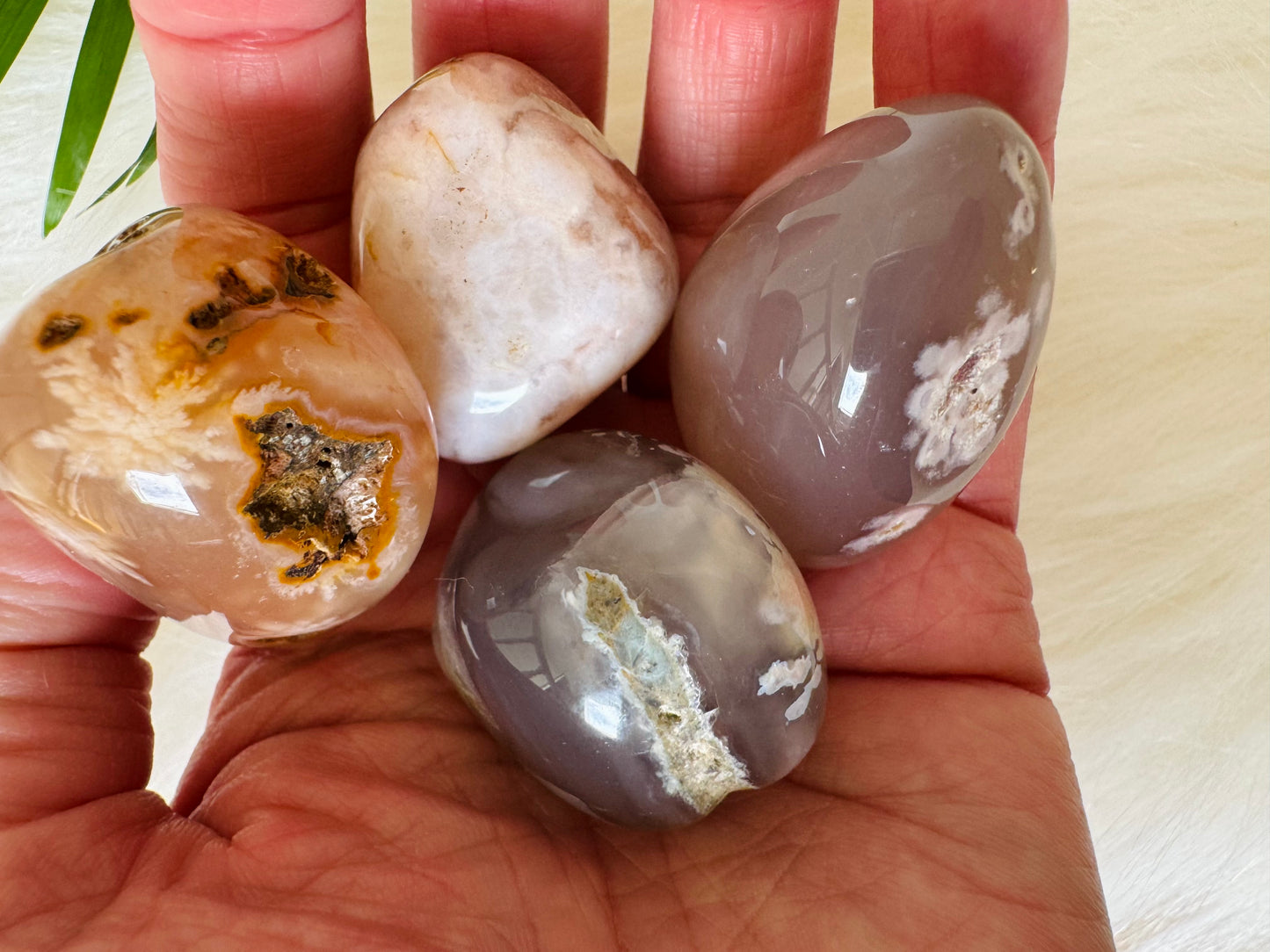 Flower Agate Tumbled - Moon Room Shop and Wellness