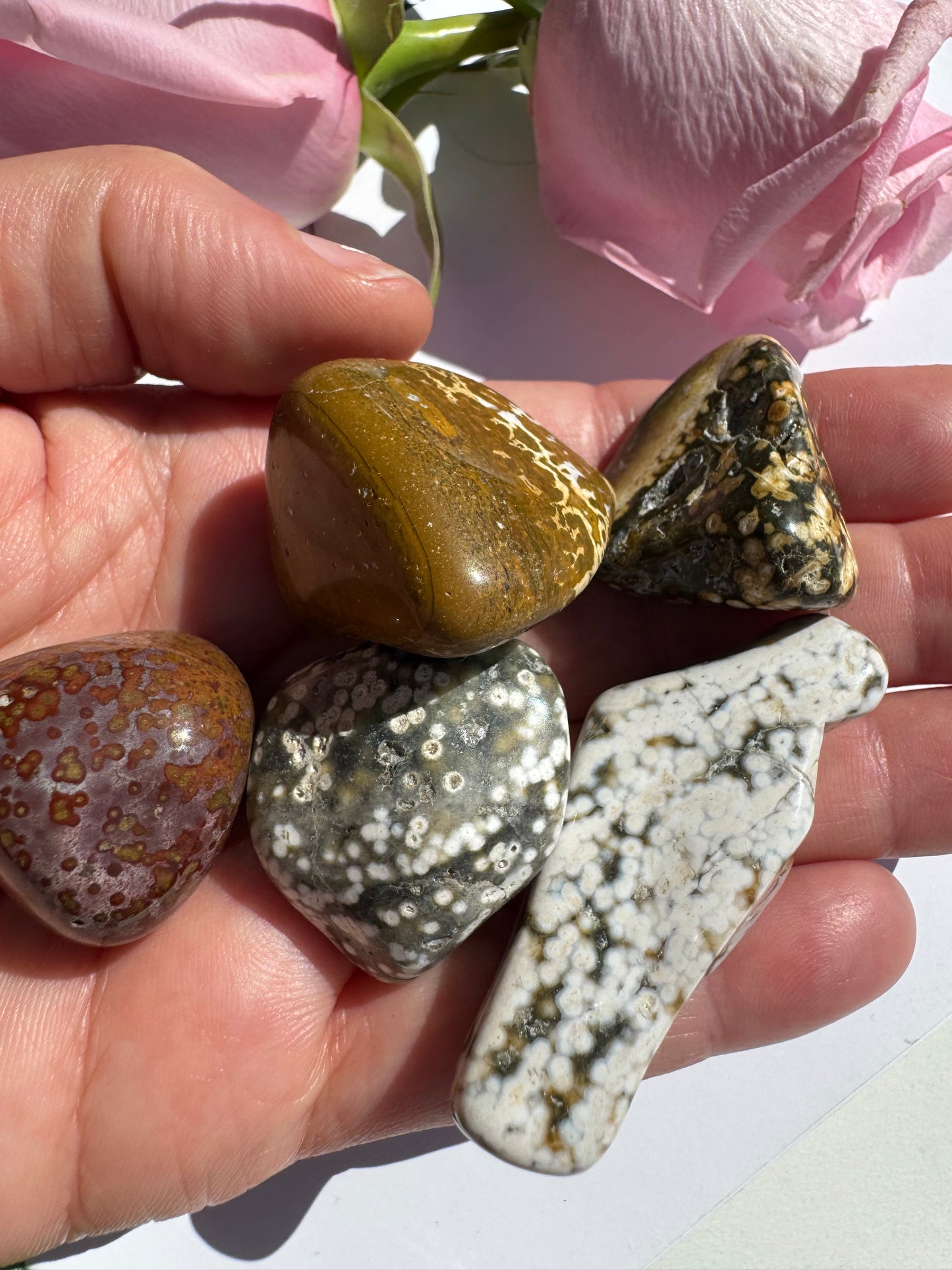 Small Ocean Jasper Tumbled - Moon Room Shop and Wellness