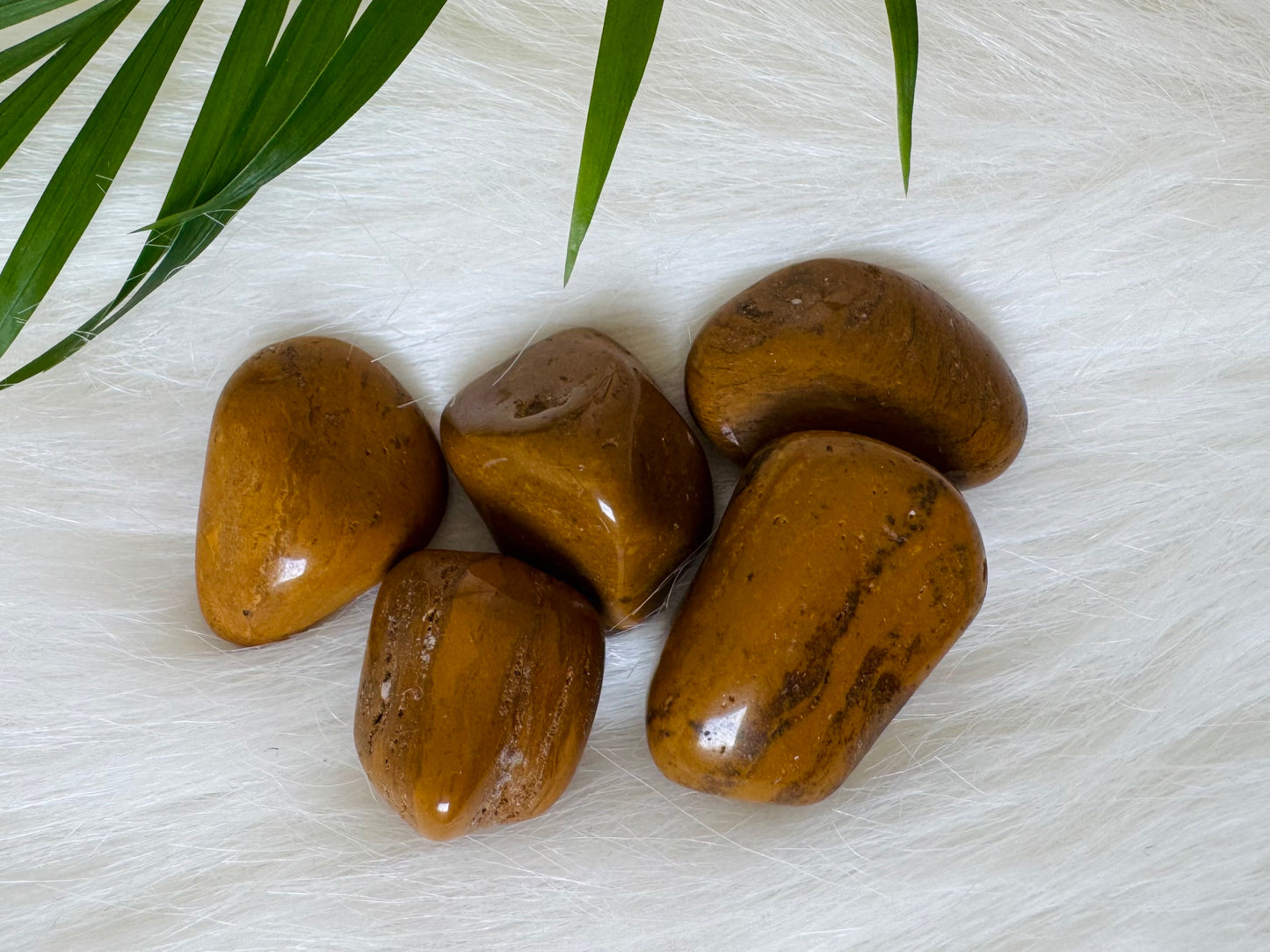Yellow Jasper Tumbled - Moon Room Shop and Wellness