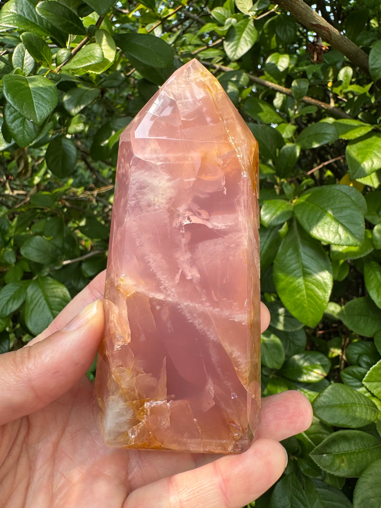 Guava Rose Quartz Tower w Golden Healer - Gorgeous! 328 g - Brazil - Moon Room Shop and Wellness