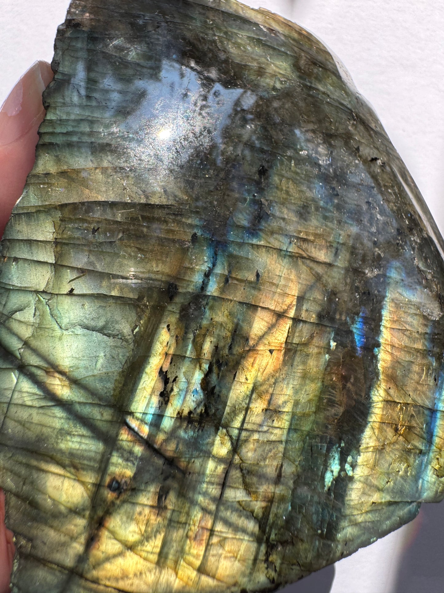 Labradorite Freeform w Natural Back 351 g - Madagascar - Moon Room Shop and Wellness