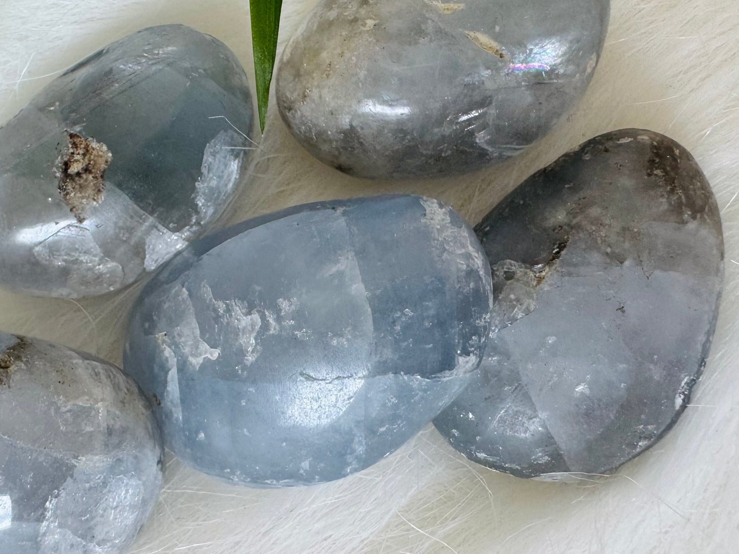 Celestite Tumbled - Moon Room Shop and Wellness