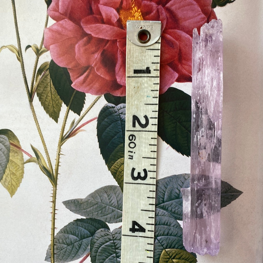 Kunzite -Pakistan- 240 ct - Moon Room Shop and Wellness