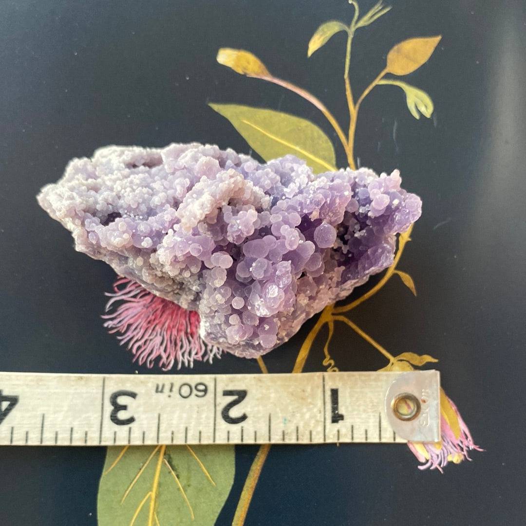 Grape Agate Botryoidal Specimen 118 g Sulawesi, Indonesia - Moon Room Shop and Wellness