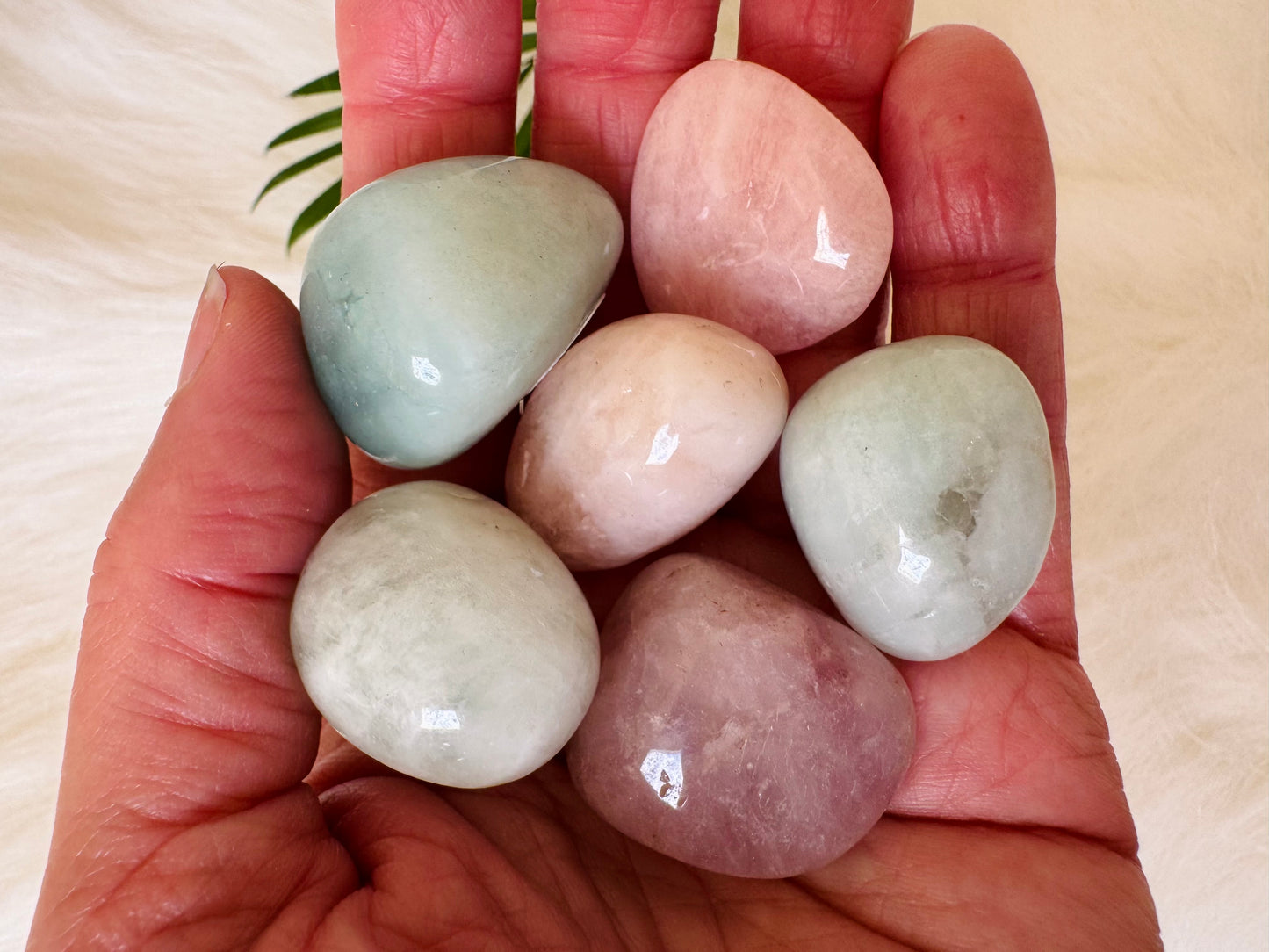 Morganite Tumbled - Moon Room Shop and Wellness