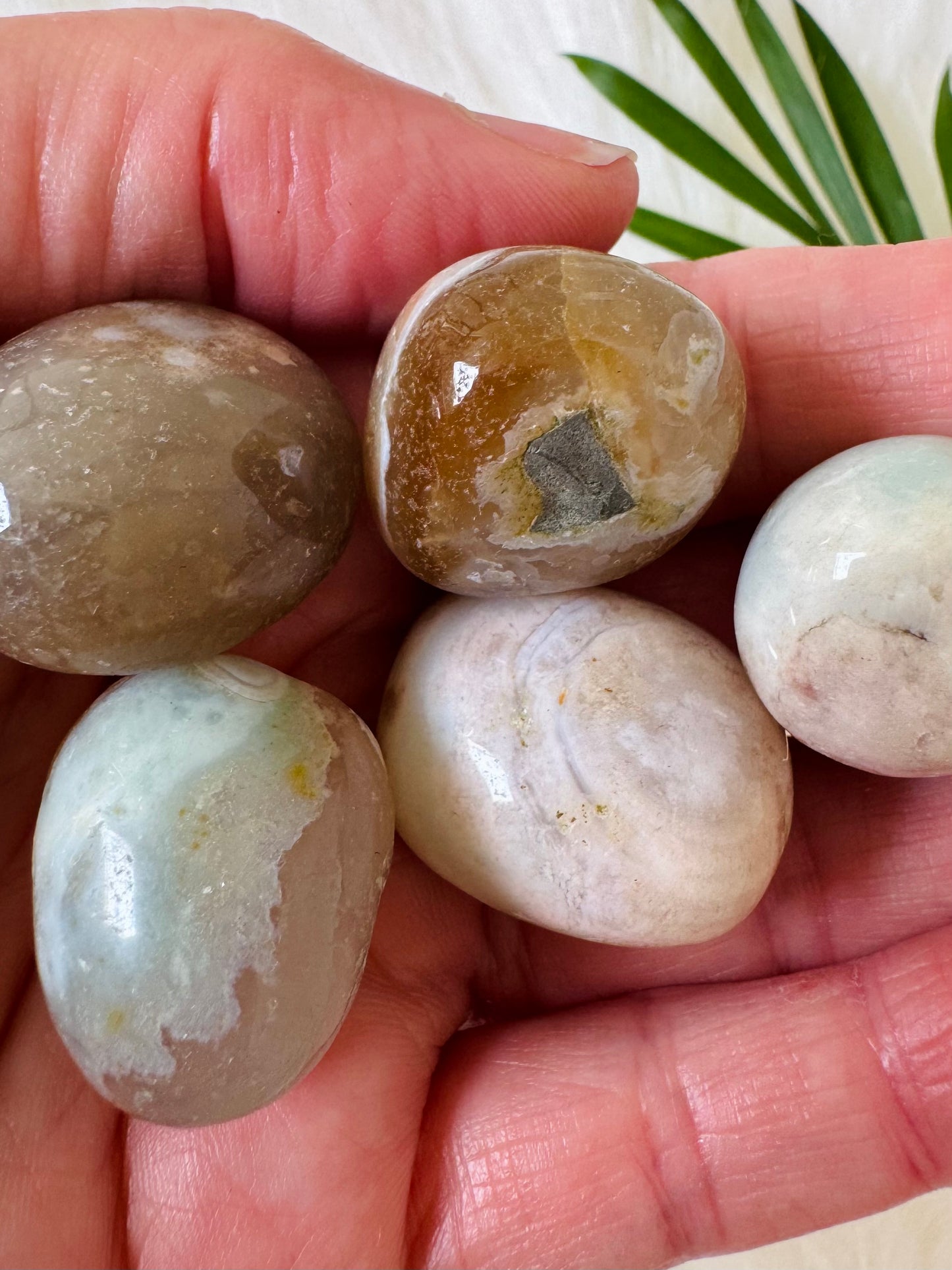 Green Flower Agate Tumbled - Moon Room Shop and Wellness