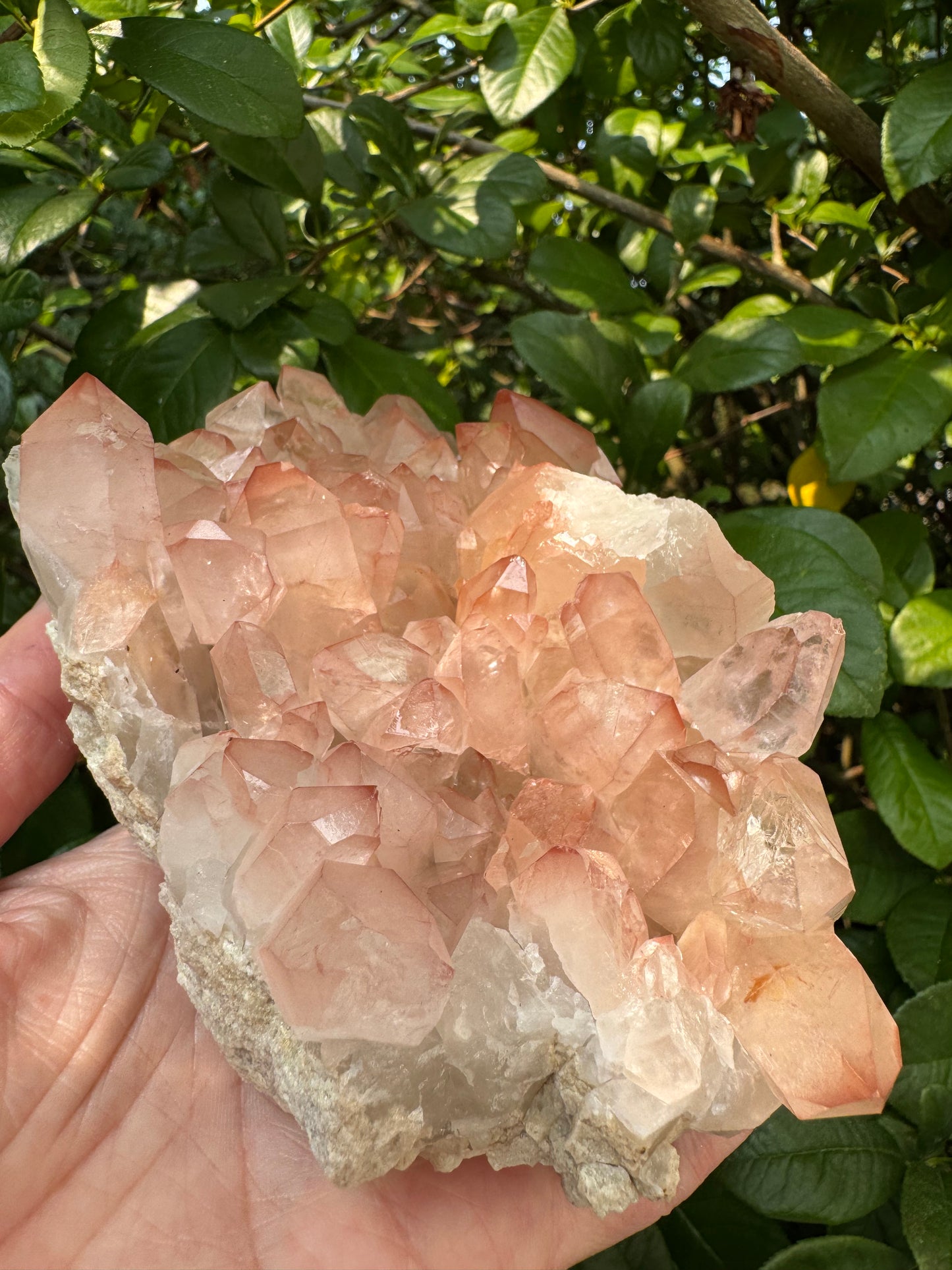Pink Lithium Quartz Cluster 2.2lb - Brazil- Peaceful Beauty! - Moon Room Shop and Wellness