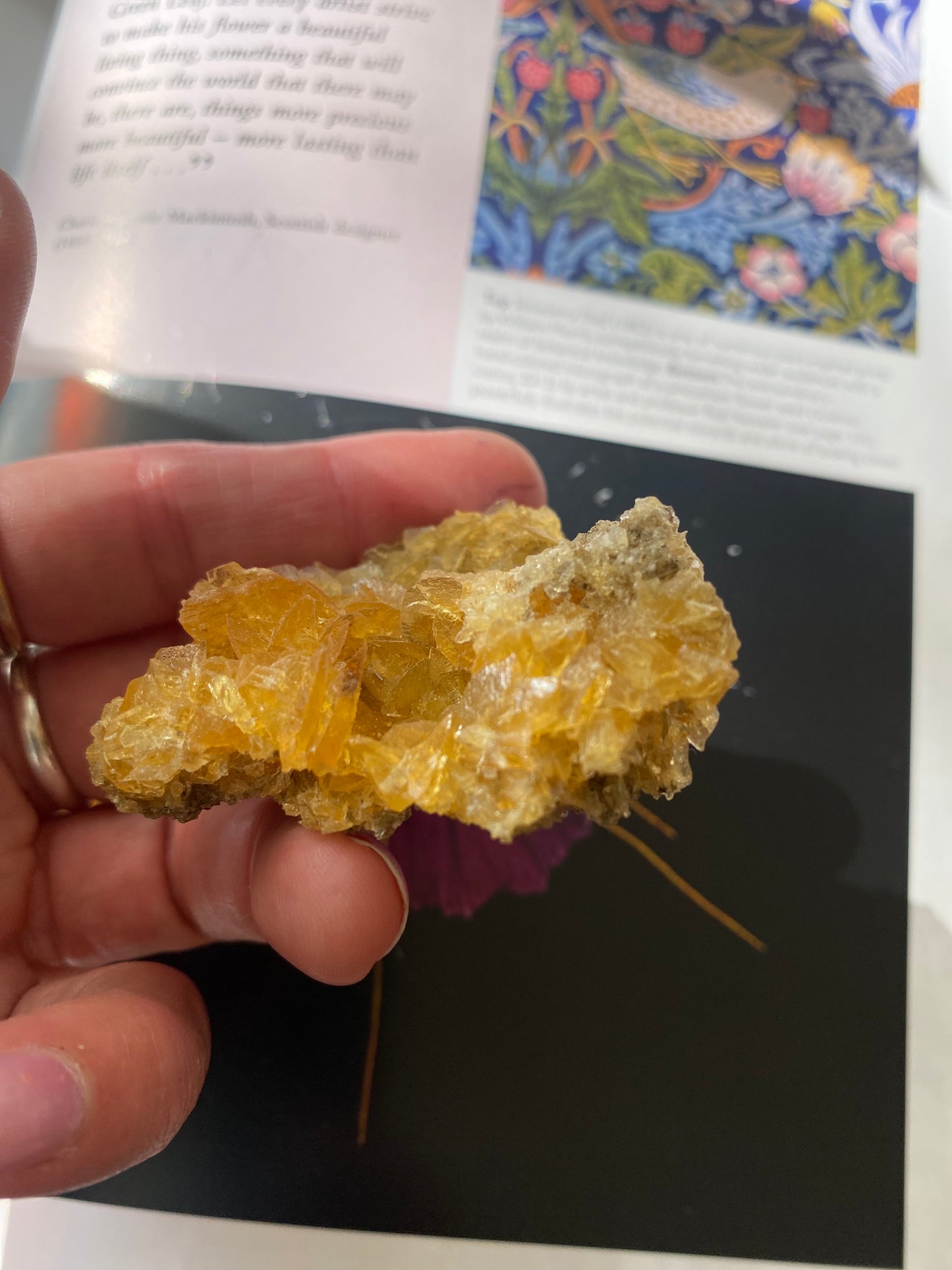 Golden Selenite w/ Halite - 22 g - Peru- UV Reactive - Moon Room Shop and Wellness