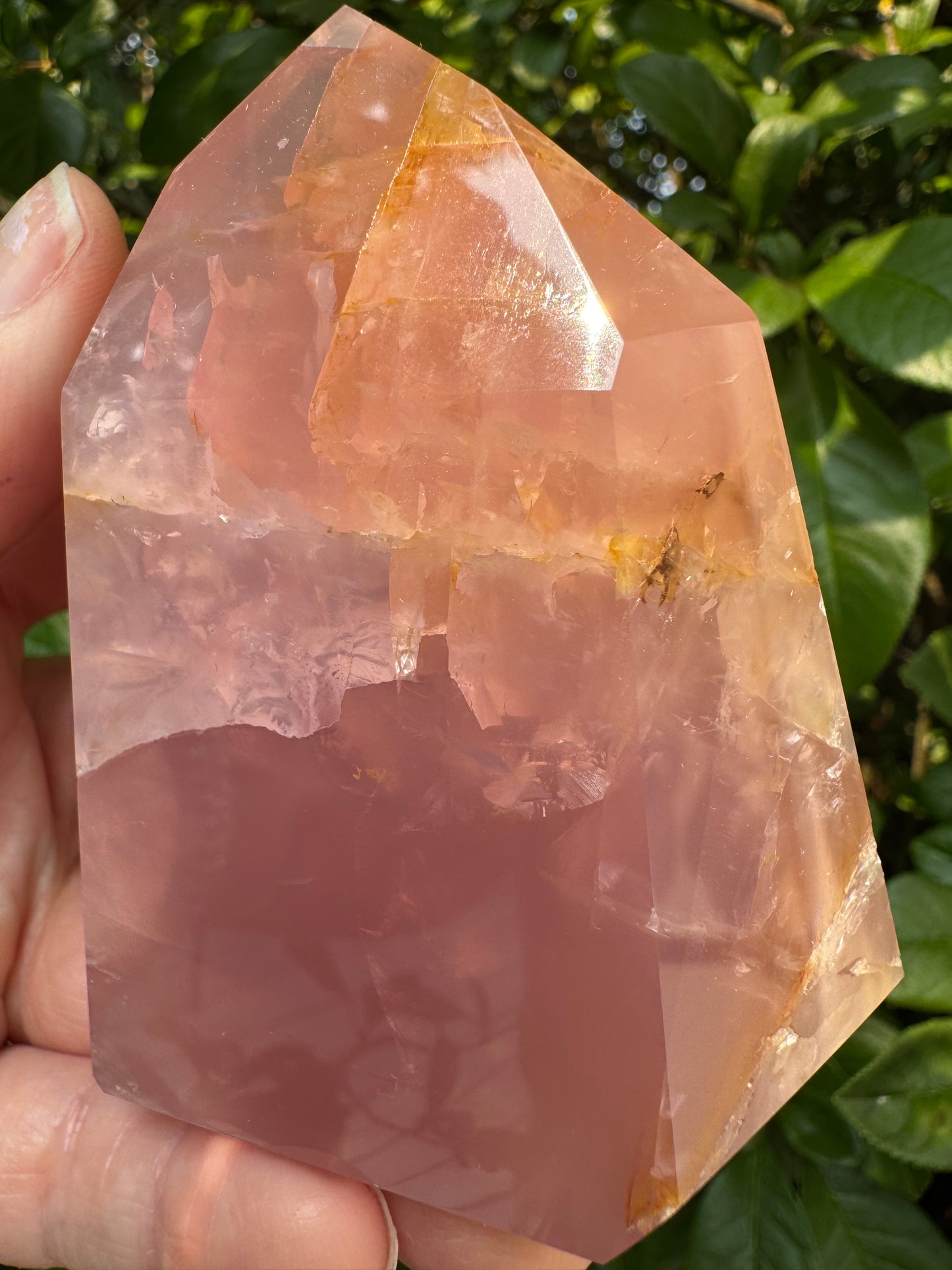 Guava Rose Quartz Tower w Golden Healer - Gorgeous! 242 g - Brazil - Moon Room Shop and Wellness