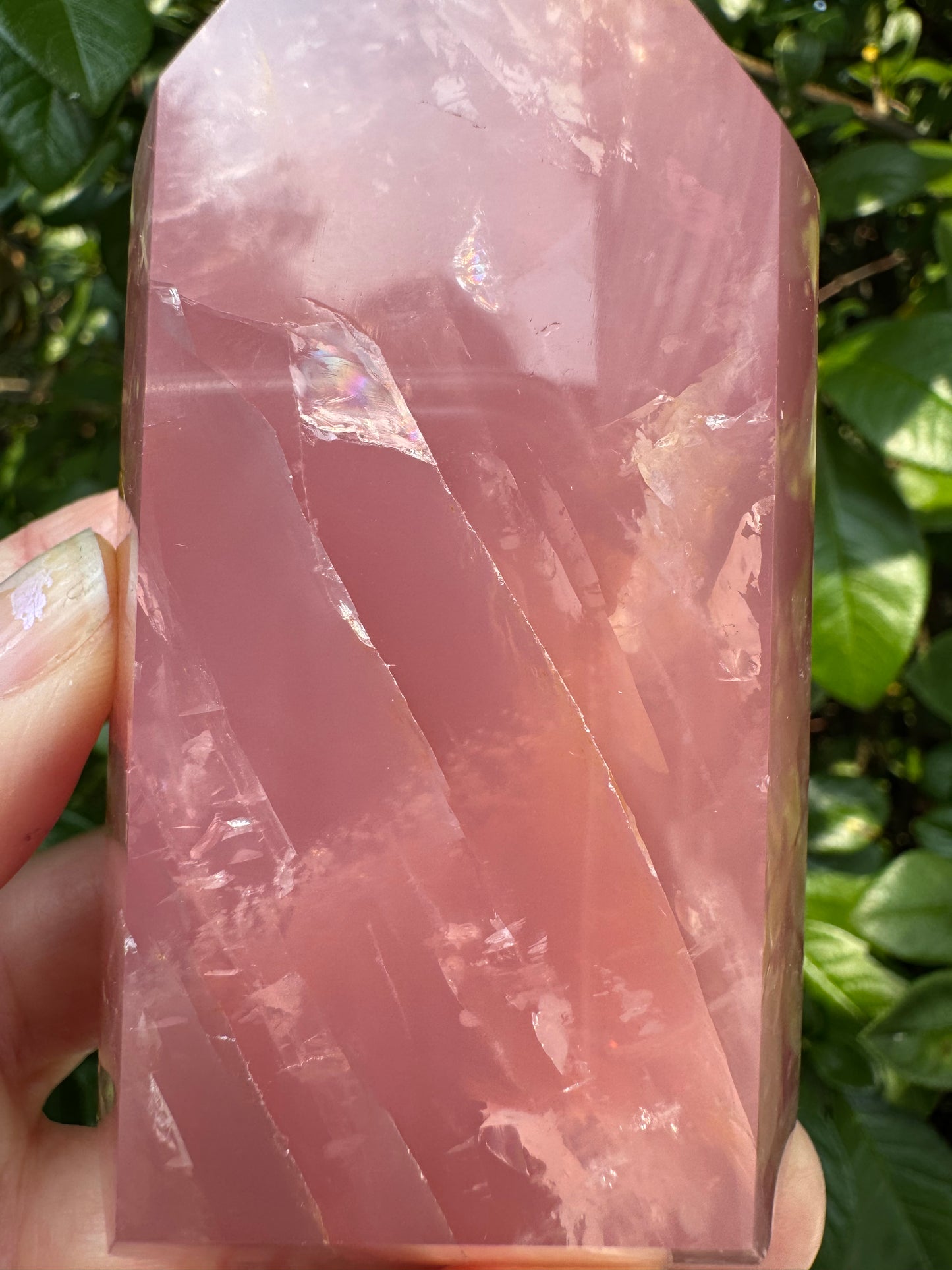 Guava Rose Quartz w Golden Healer - Gorgeous! 304 g - Brazil - Moon Room Shop and Wellness