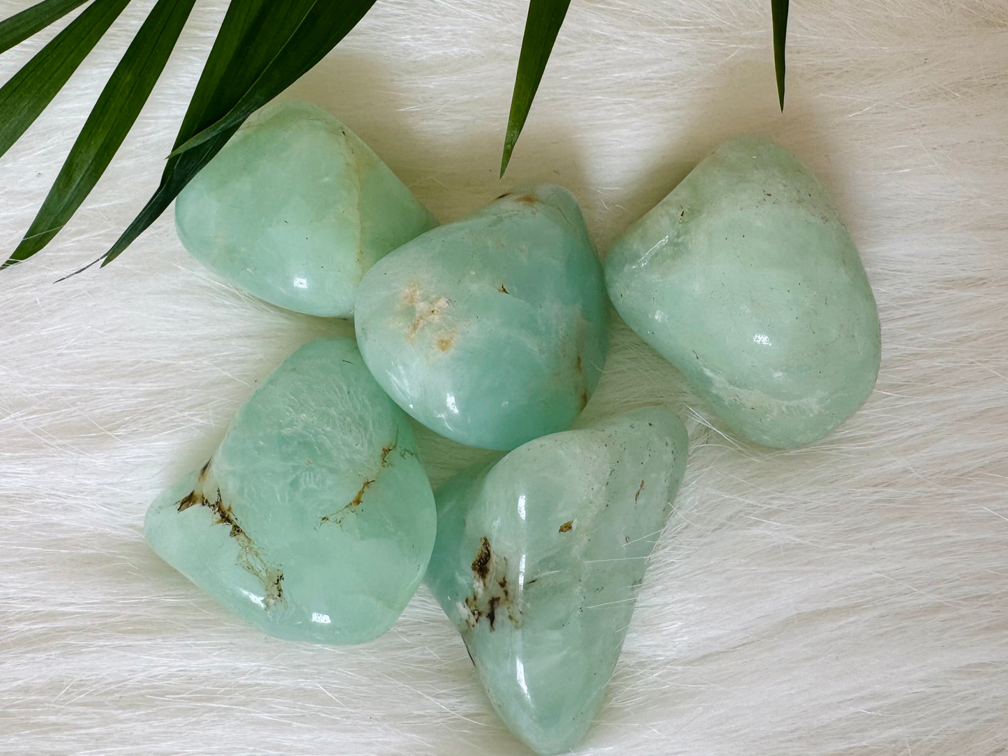 Prehnite Tumbled - Moon Room Shop and Wellness