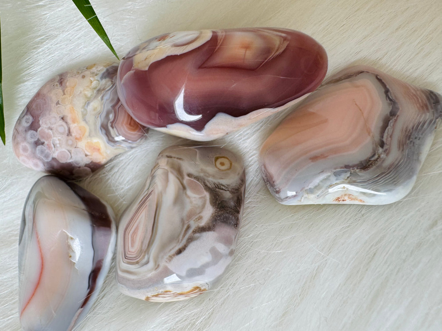 Pink Botswana Agate Tumbled - Moon Room Shop and Wellness