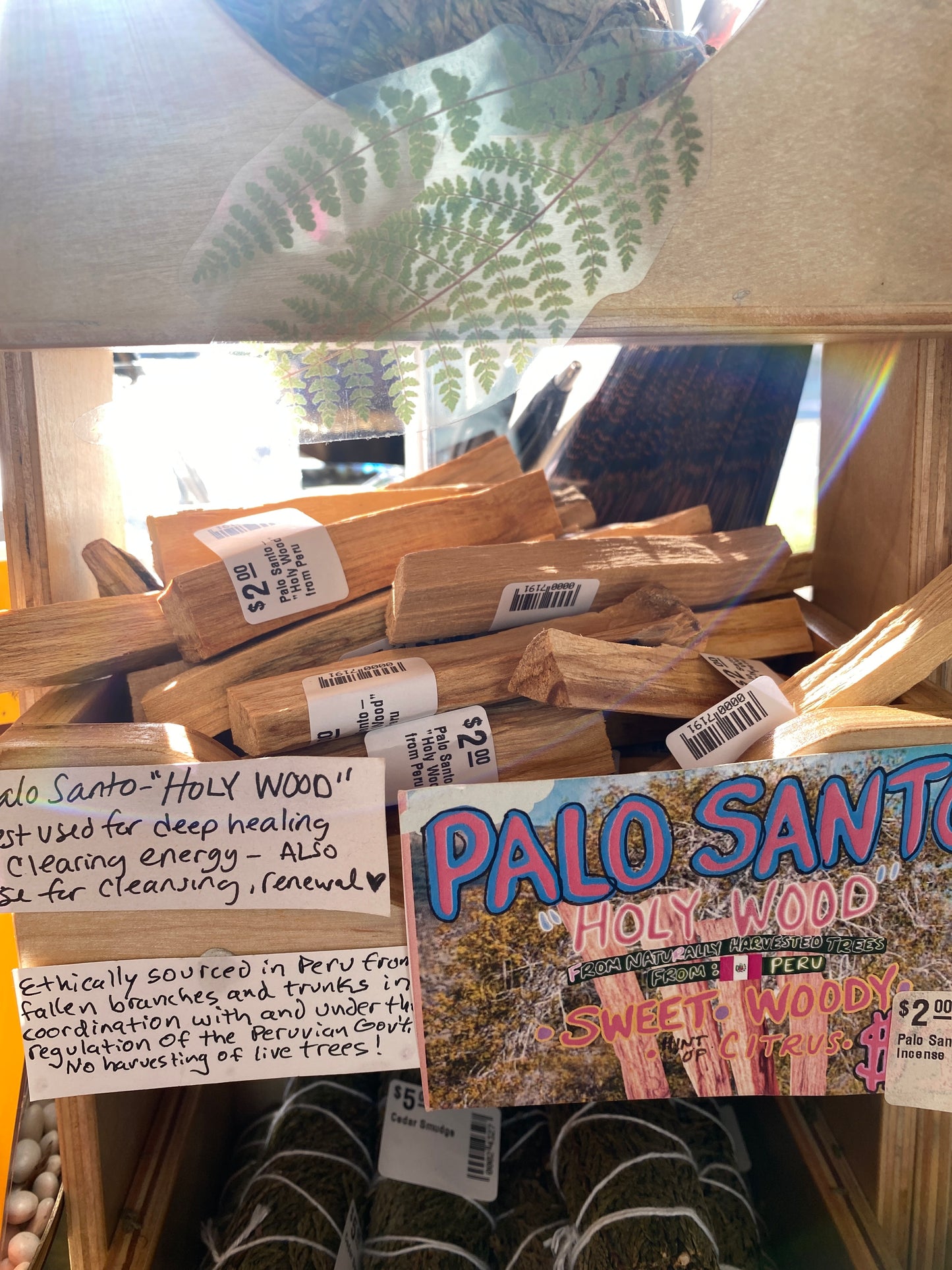Palo Santo- "Holy Wood" from Peru - Moon Room Shop and Wellness