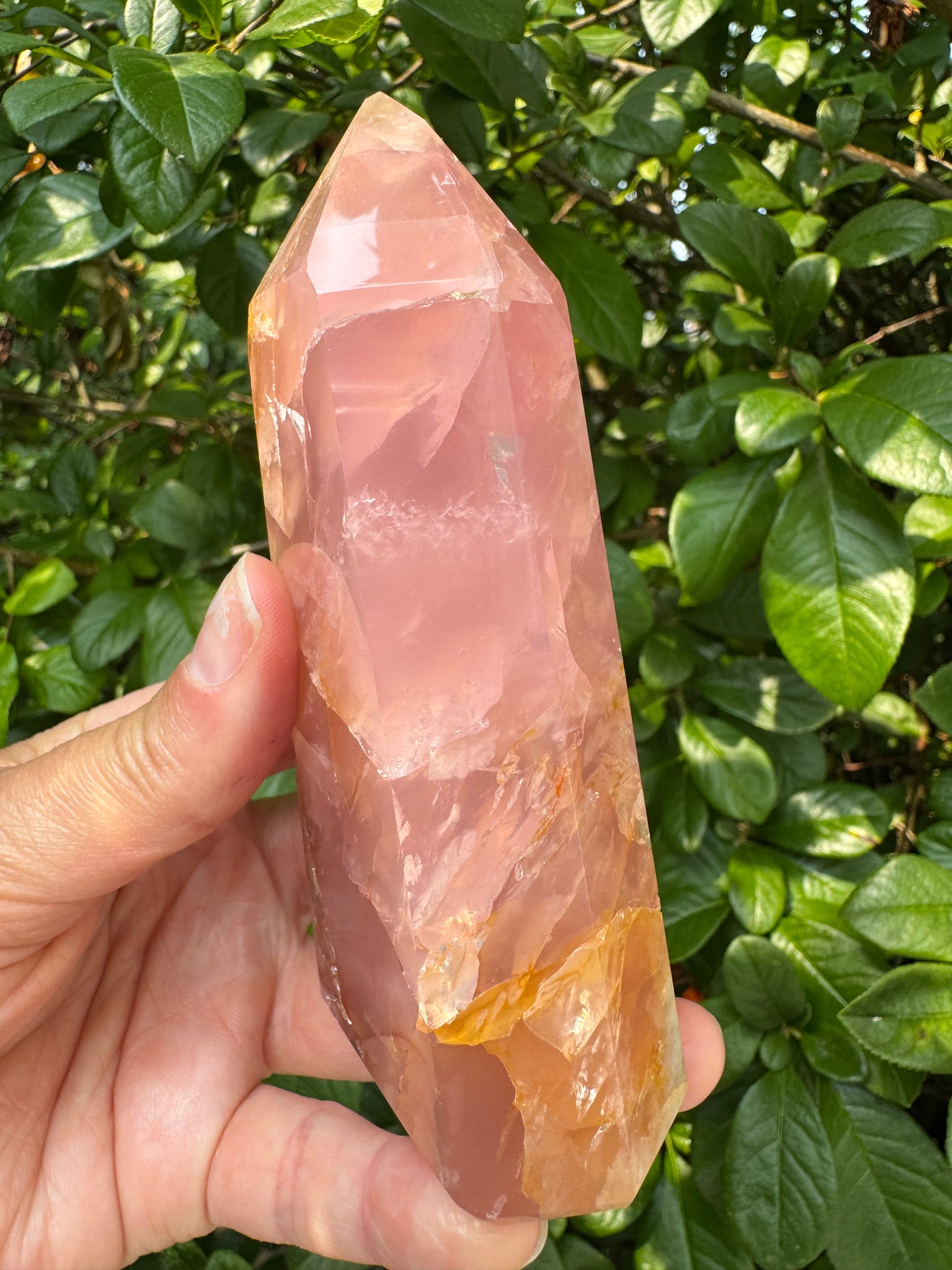 Guave Rose Quartz w Golden Healer - Gorgeous! 328 g - Brazil - Moon Room Shop and Wellness