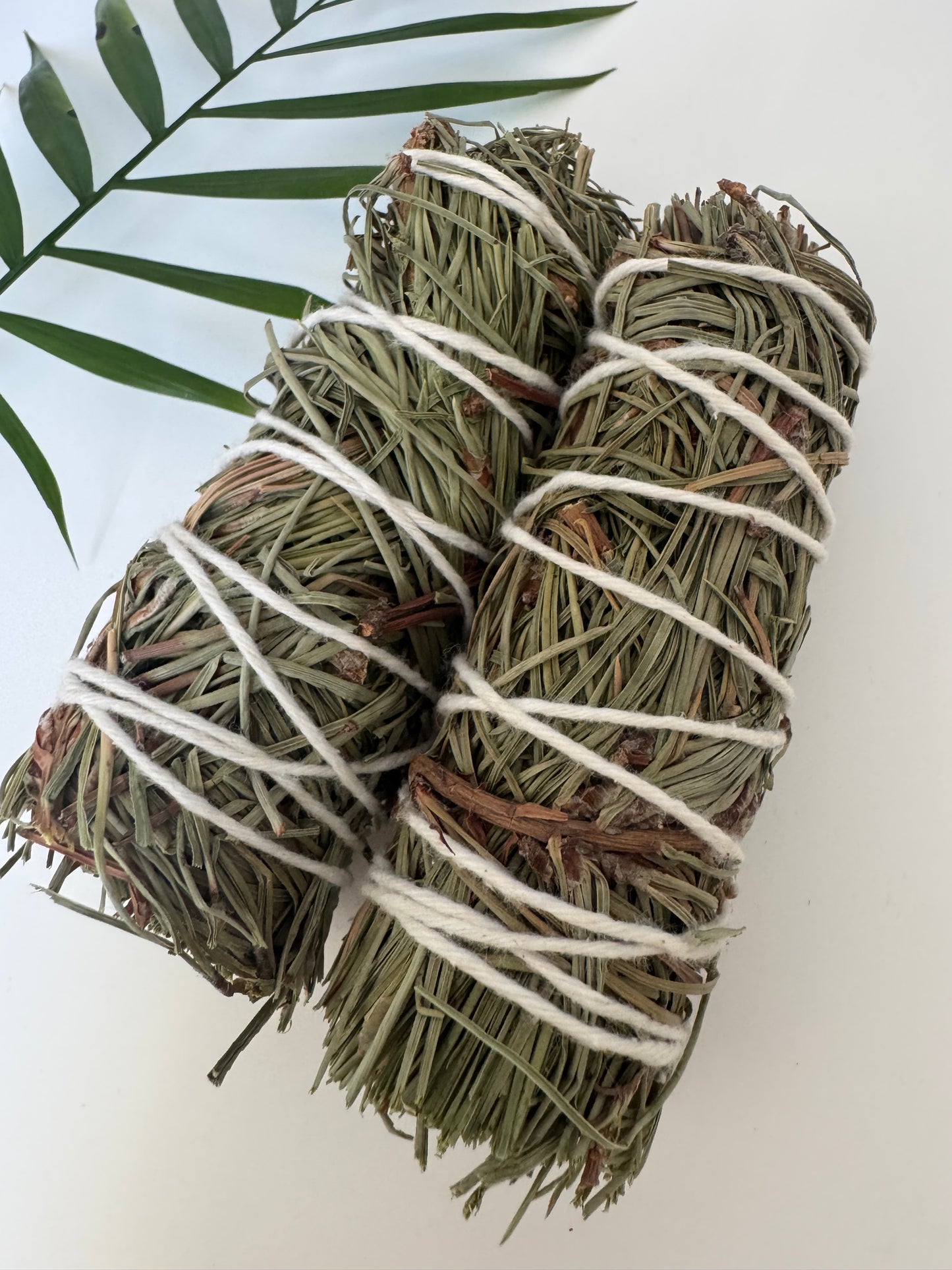 Pine Herb Wands