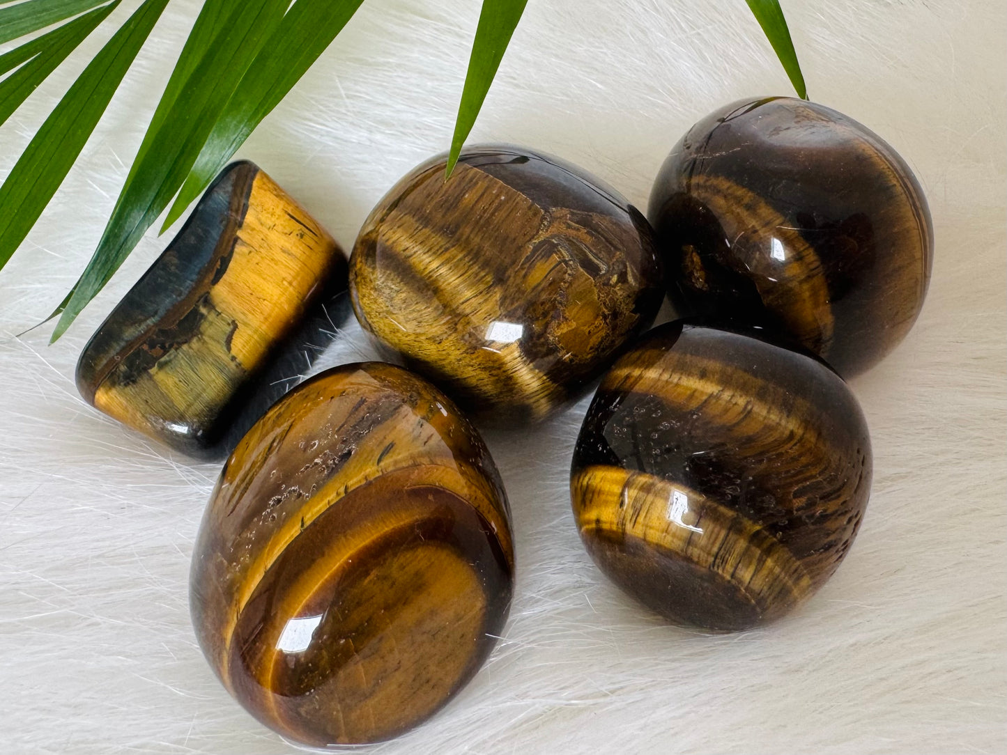 Tiger's Eye Tumbled - Moon Room Shop and Wellness
