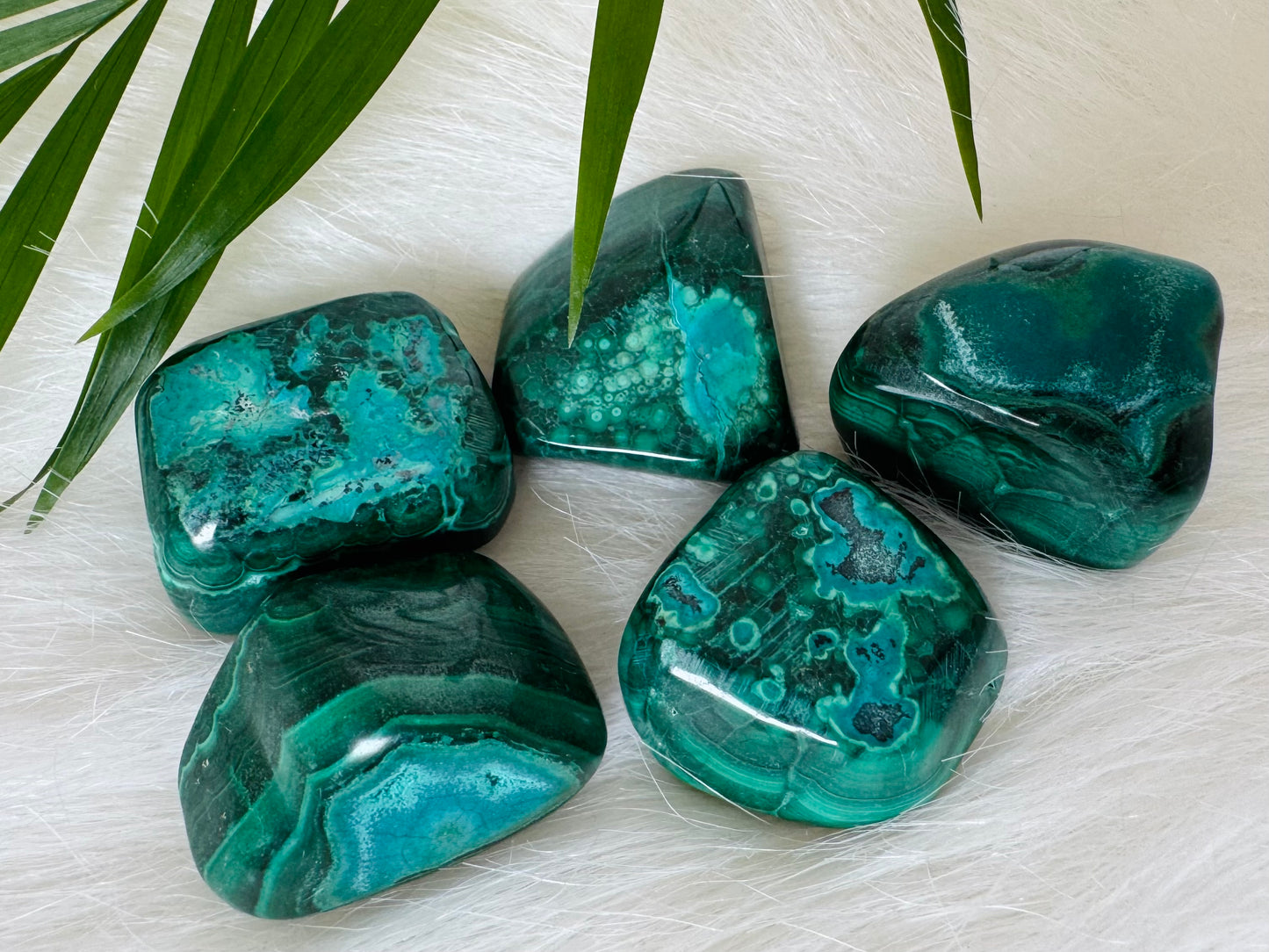 Chrysocolla and Malachite Tumbled - Moon Room Shop and Wellness