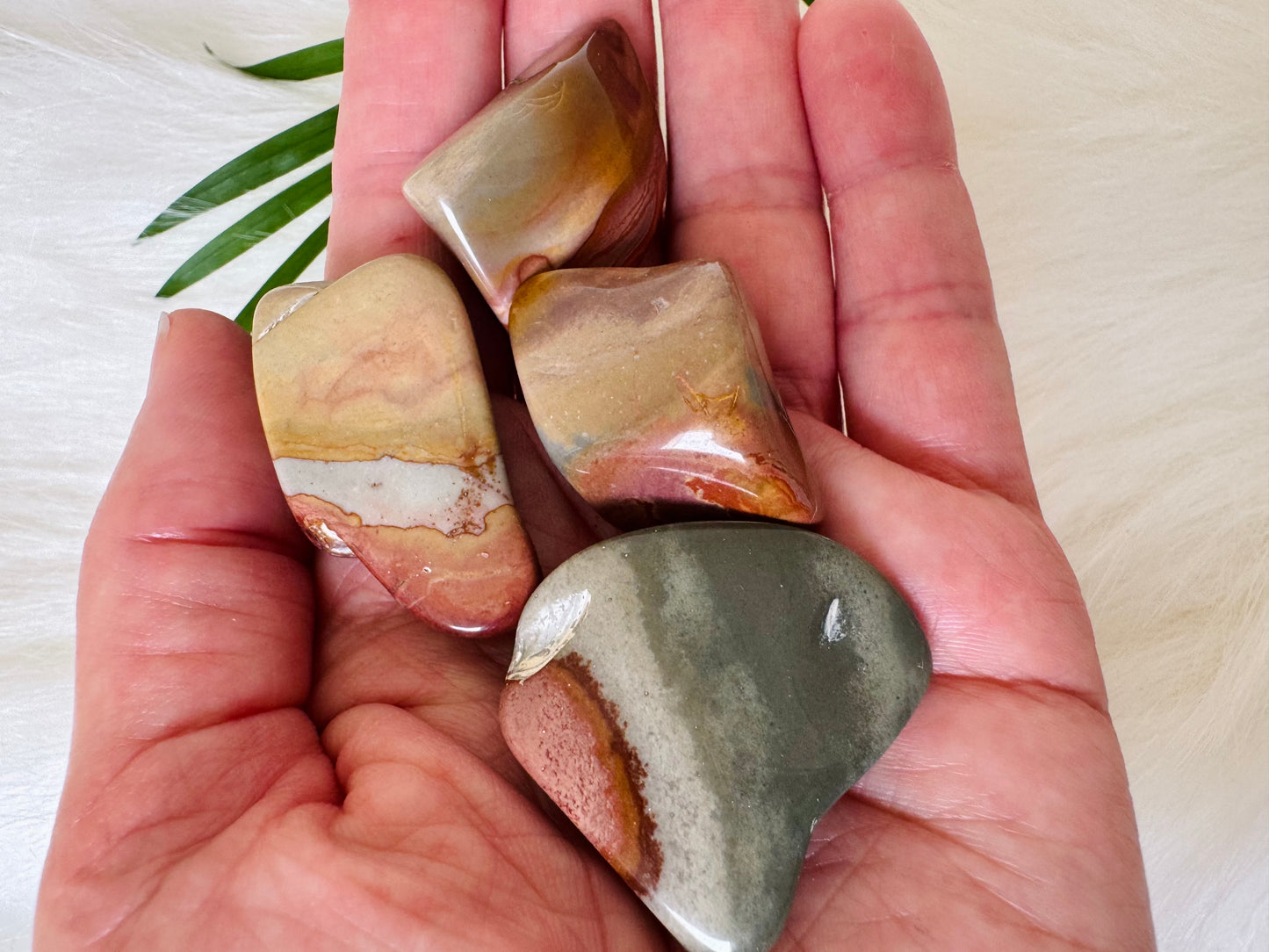 Desert Jasper Tumbled - Moon Room Shop and Wellness