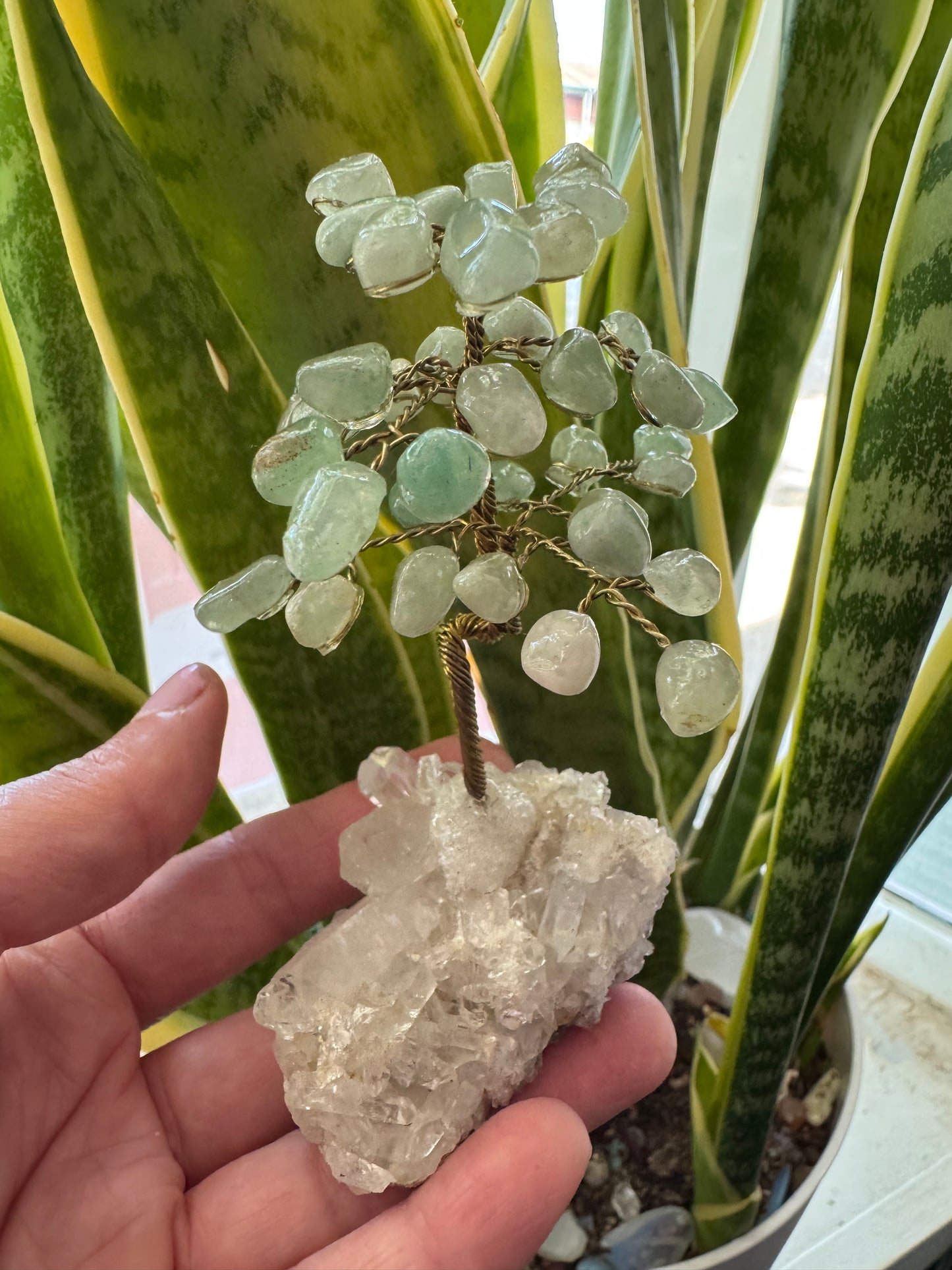 Green Aventurine Gem Tree on Clear Quartz -So Sweeeet!! - Moon Room Shop and Wellness