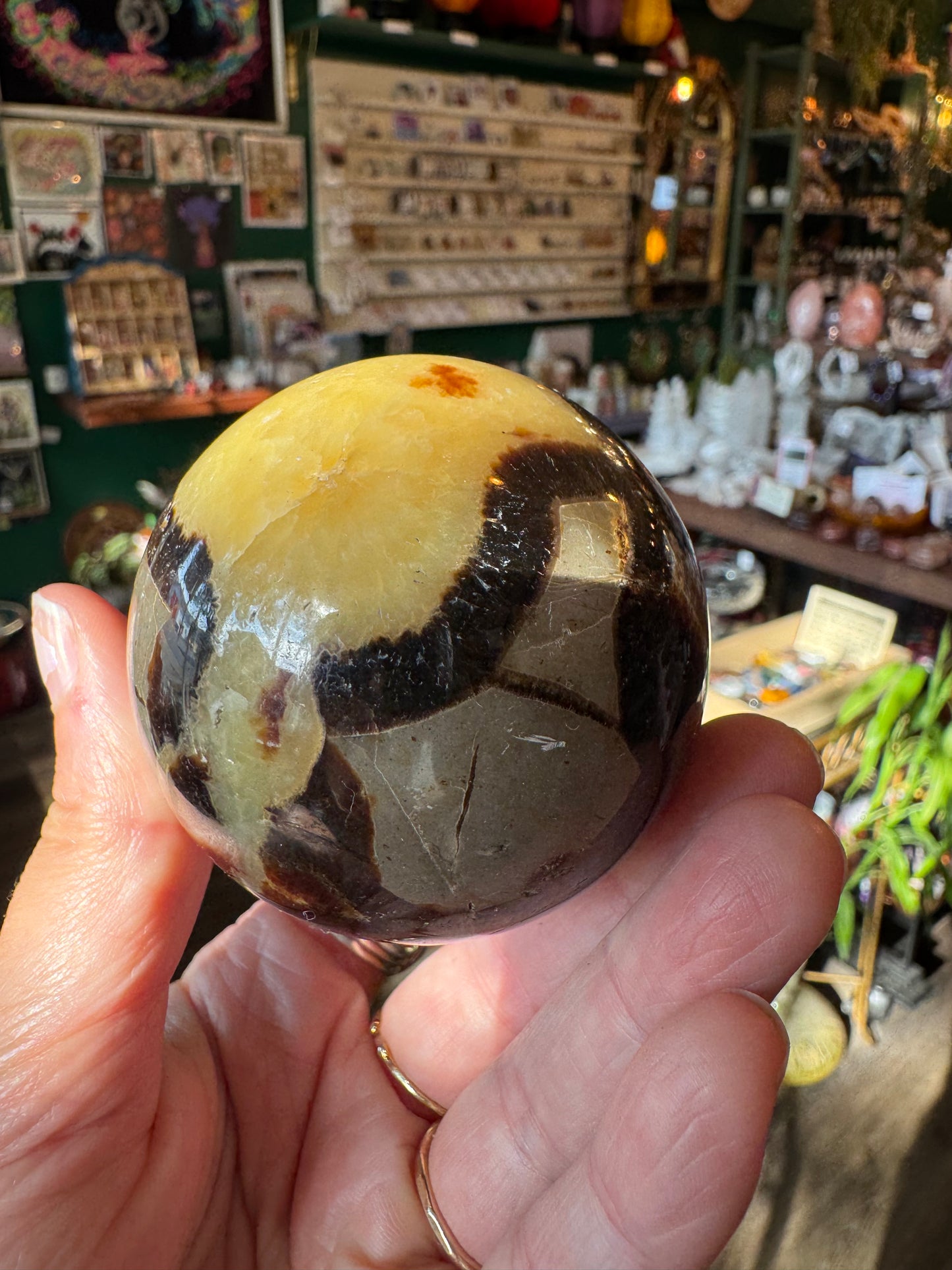 Septarian Sphere 309 g