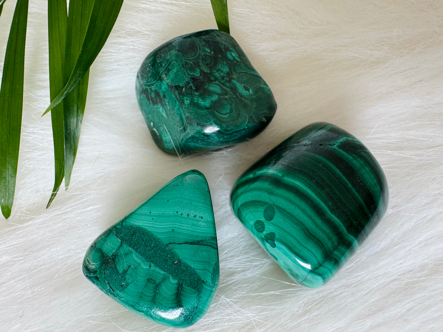 Malachite Tumbled Stone - Moon Room Shop and Wellness