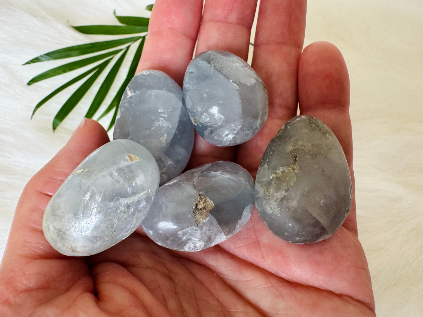 Celestite Tumbled - Moon Room Shop and Wellness
