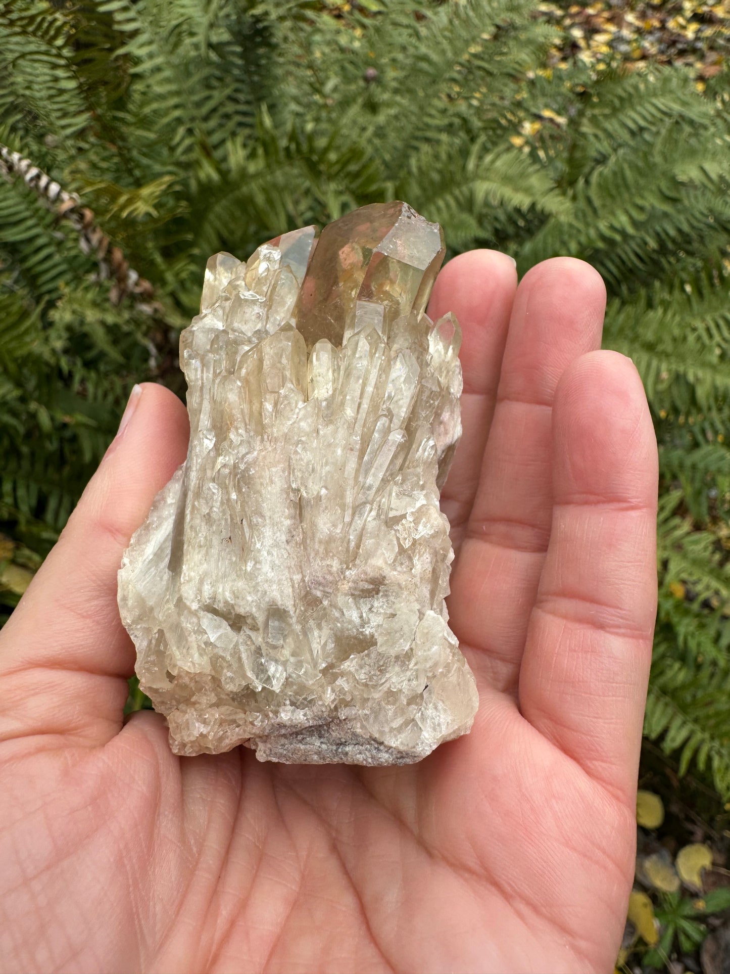 Kundalini Citrine 158 g - Moon Room Shop and Wellness