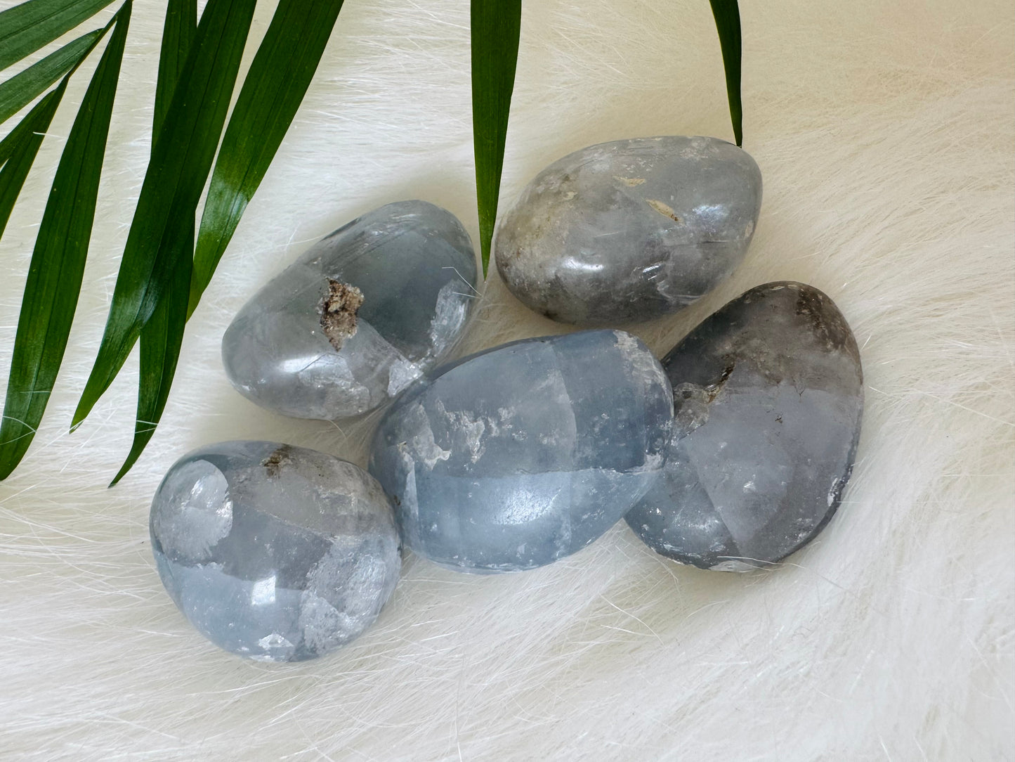 Celestite Tumbled - Moon Room Shop and Wellness