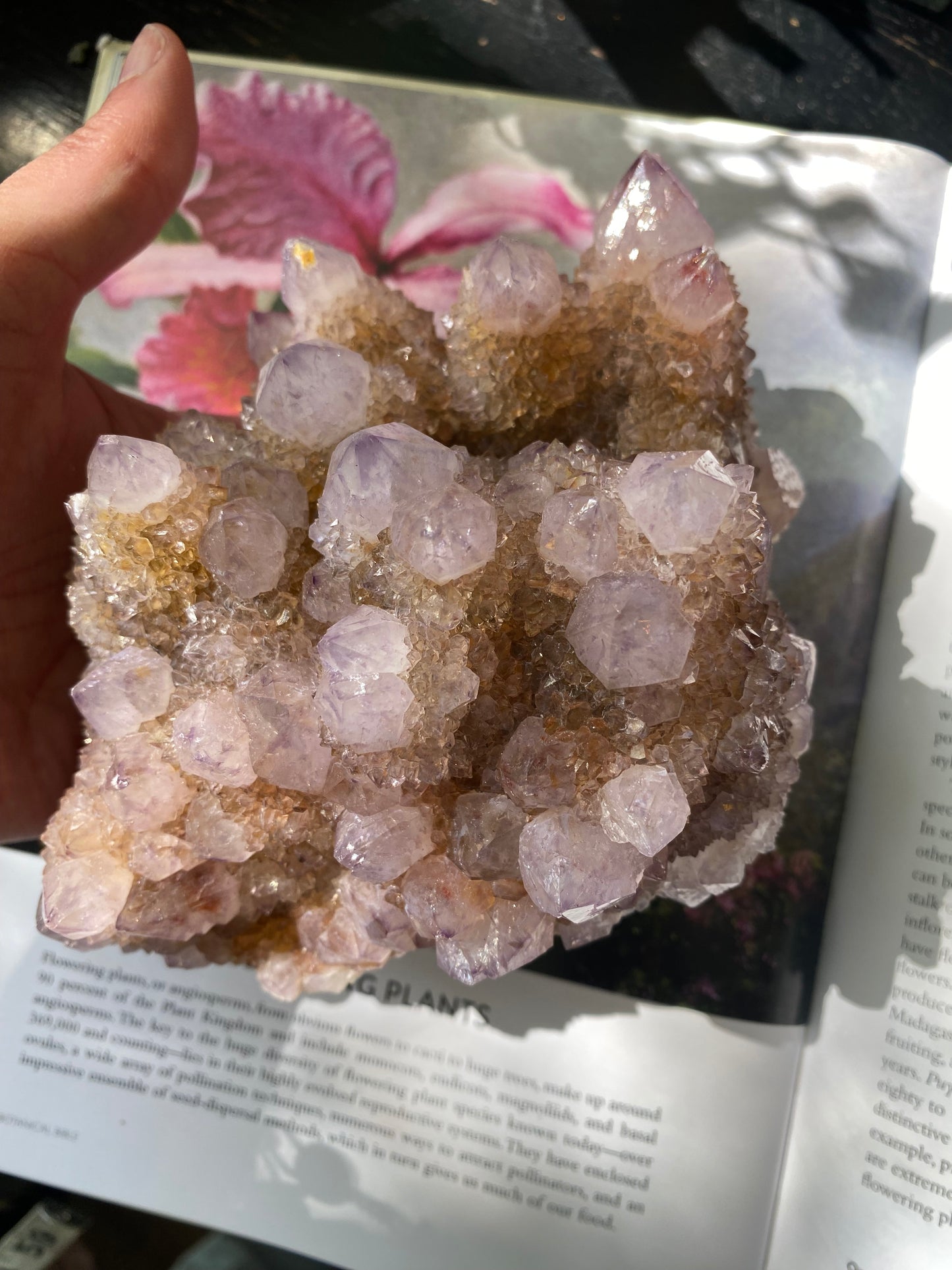 Spirit Quartz Specimen/Cluster 2.68 lb -South Africa - Moon Room Shop and Wellness