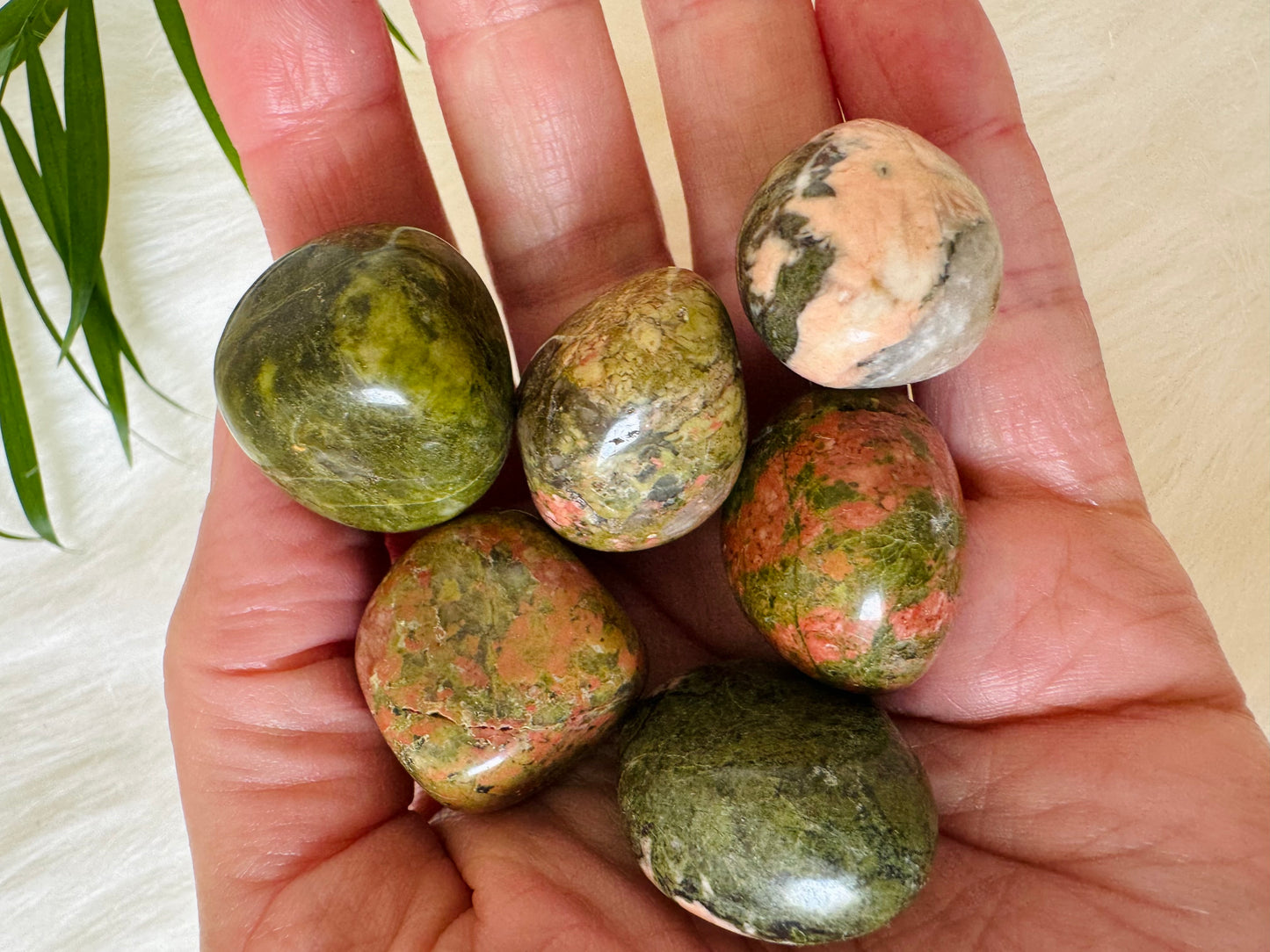 Unakite Tumbled - Moon Room Shop and Wellness