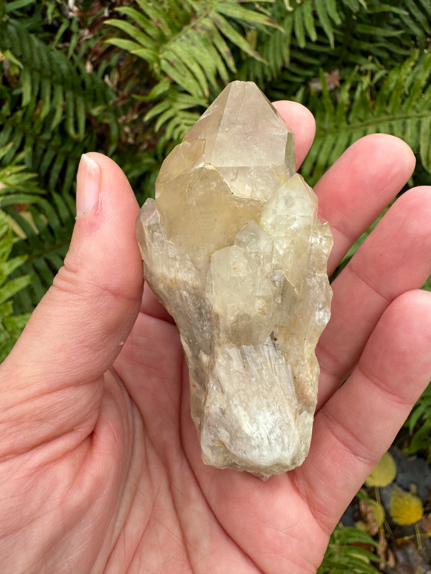 Kundalini Citrine 108 g - Moon Room Shop and Wellness