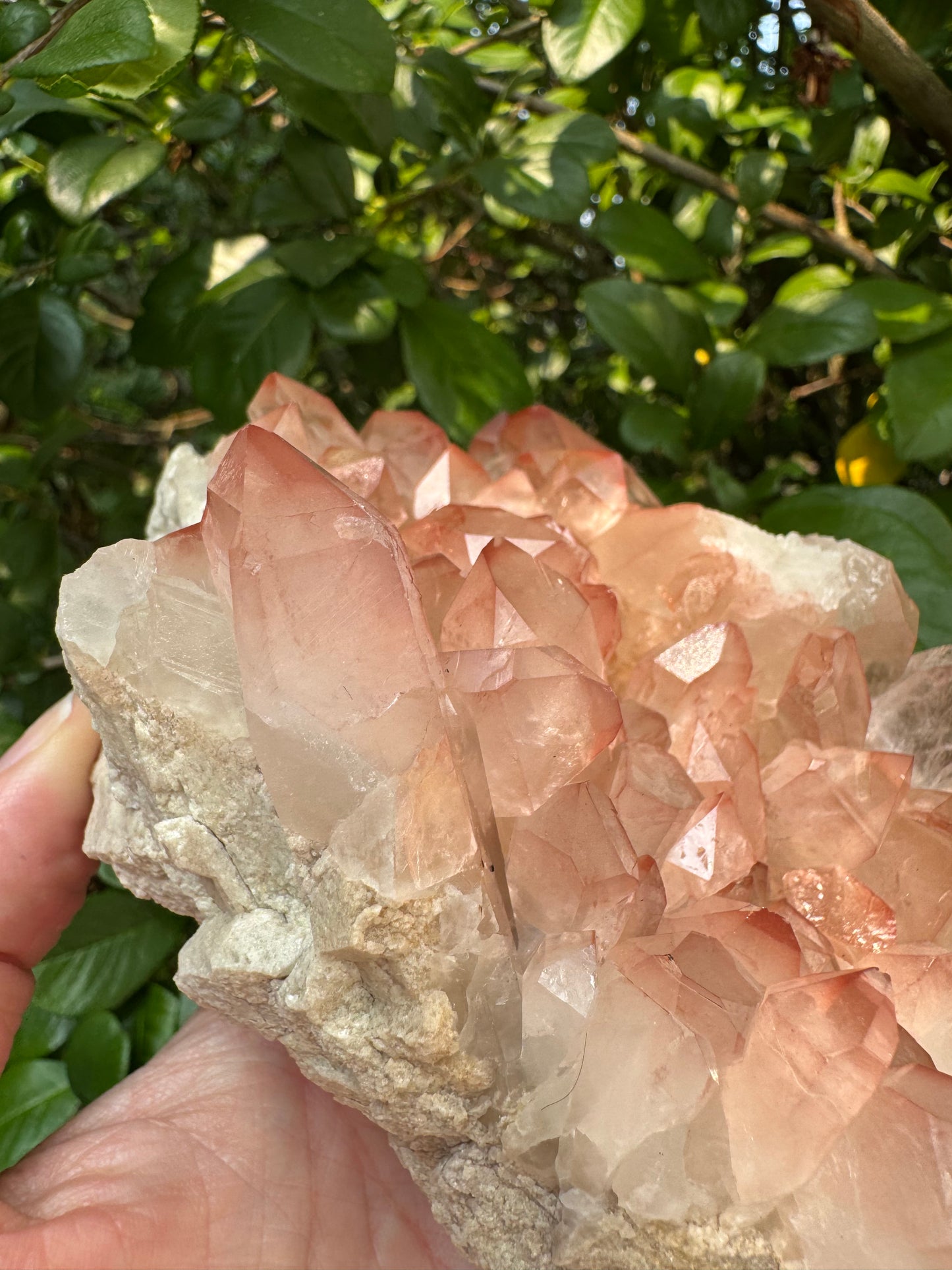 Pink Lithium Quartz Cluster 2.2lb - Brazil- Peaceful Beauty! - Moon Room Shop and Wellness
