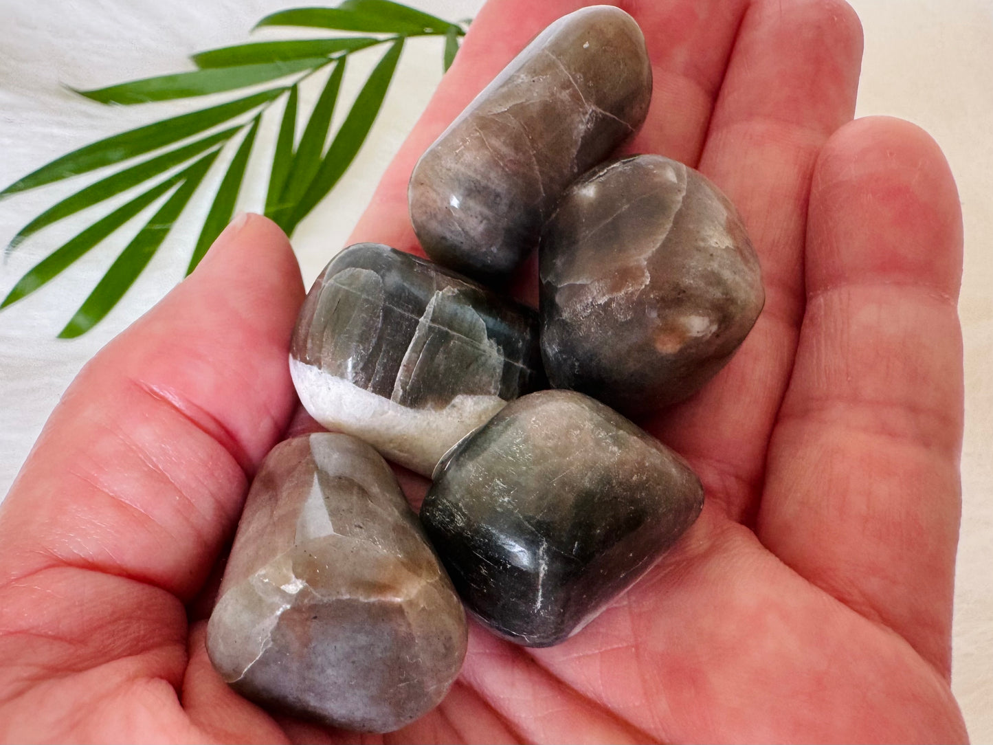Cat's Eye Chrysoberyl Tumbled - Moon Room Shop and Wellness