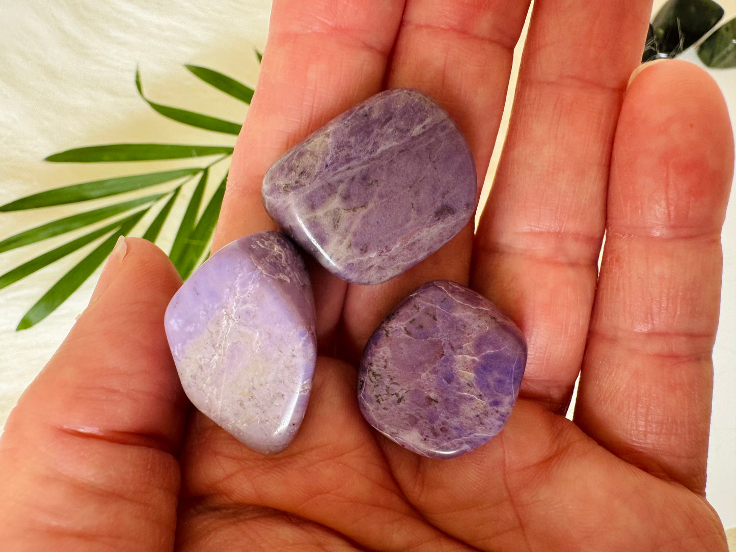 Purple Jade Tumbled Turkey - Moon Room Shop and Wellness