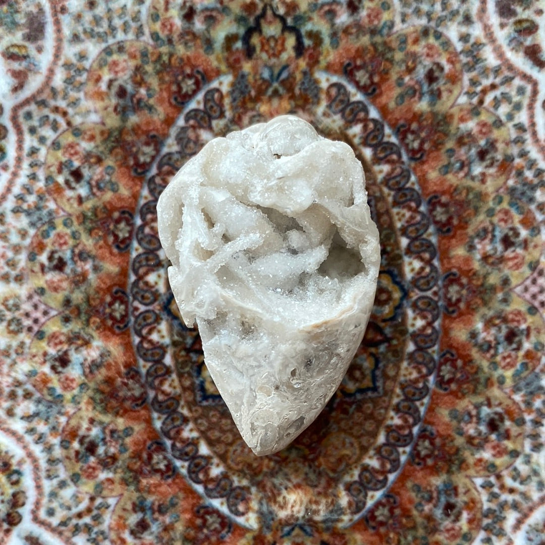 【海外輸入】 Spiralite Fossilized Gemshell w/ Quartz 31 g | Moon Room マジック：ザ・ギャザリング