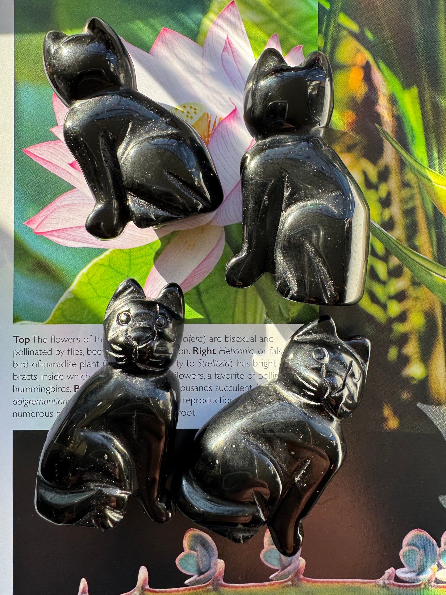 Black Onyx Cat 2” - Moon Room Shop and Wellness