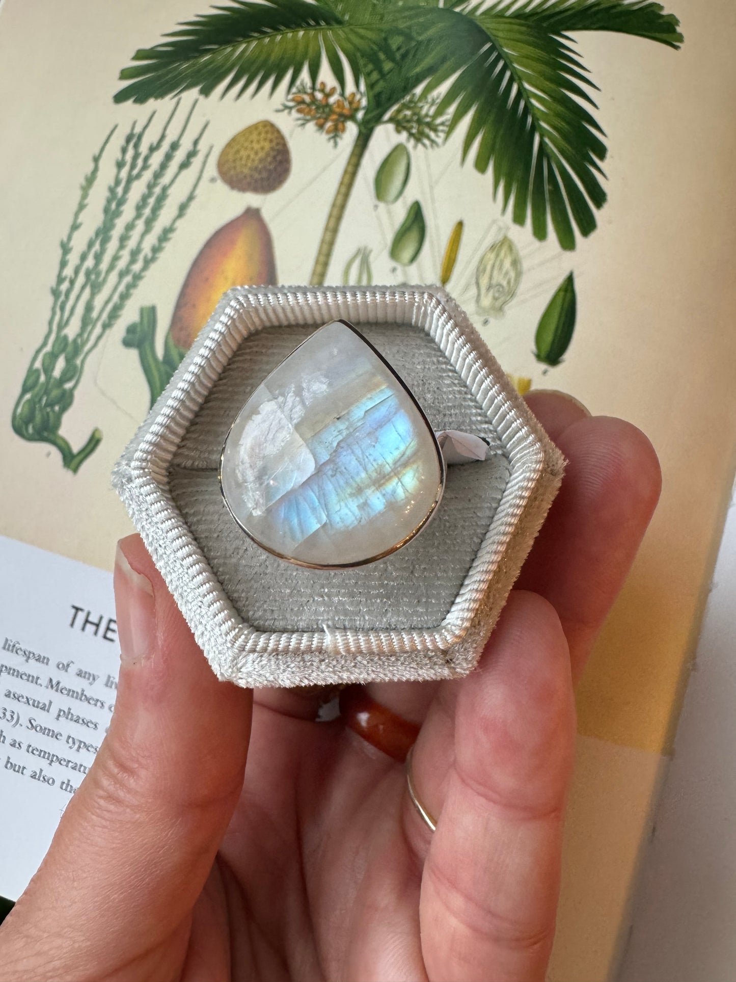 Moonstone Sterling Silver Ring Size Adjustable - Moon Room Shop and Wellness