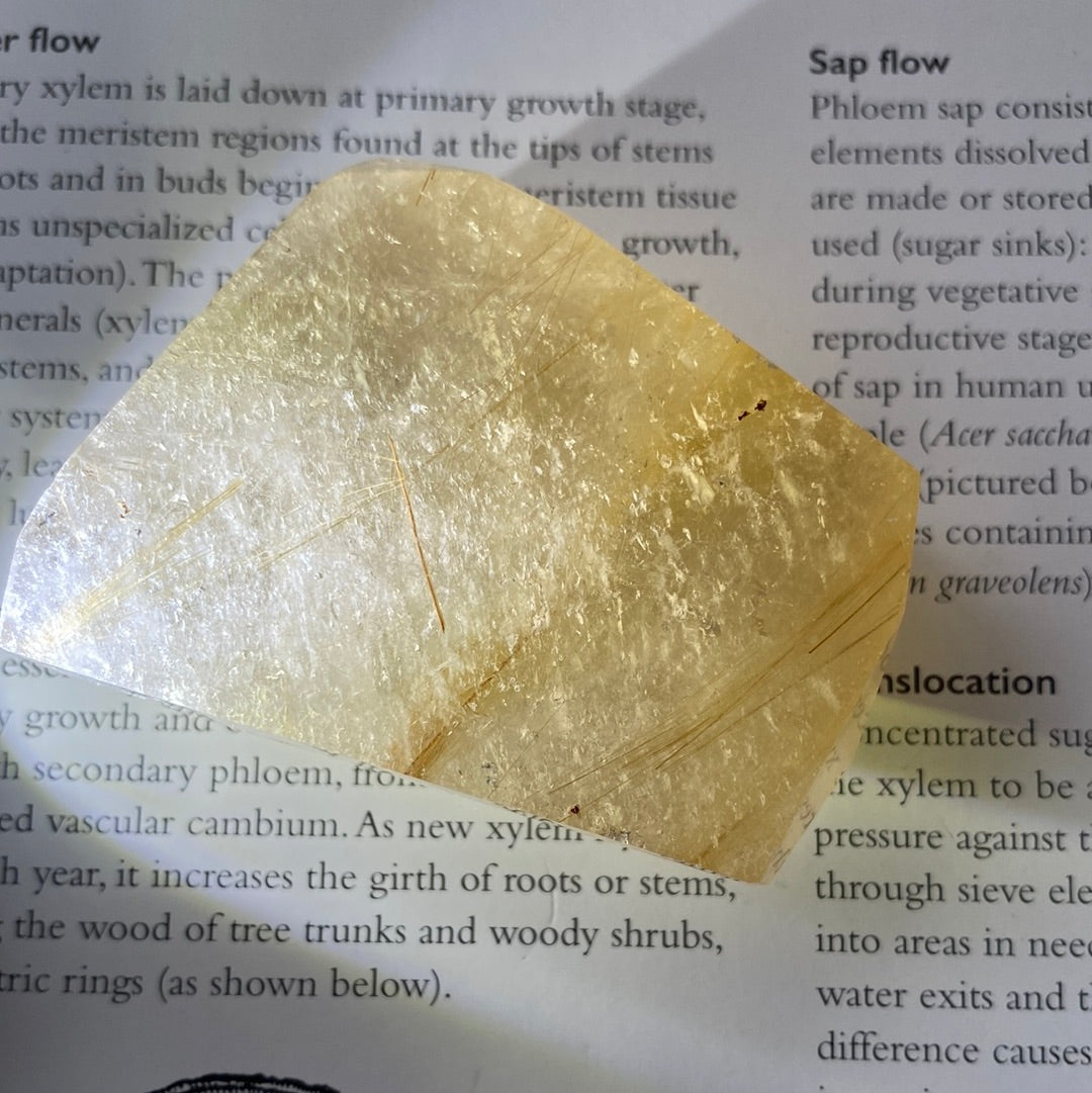 Gold Rutilated Quartz Freeform 115 g - Moon Room Shop and Wellness