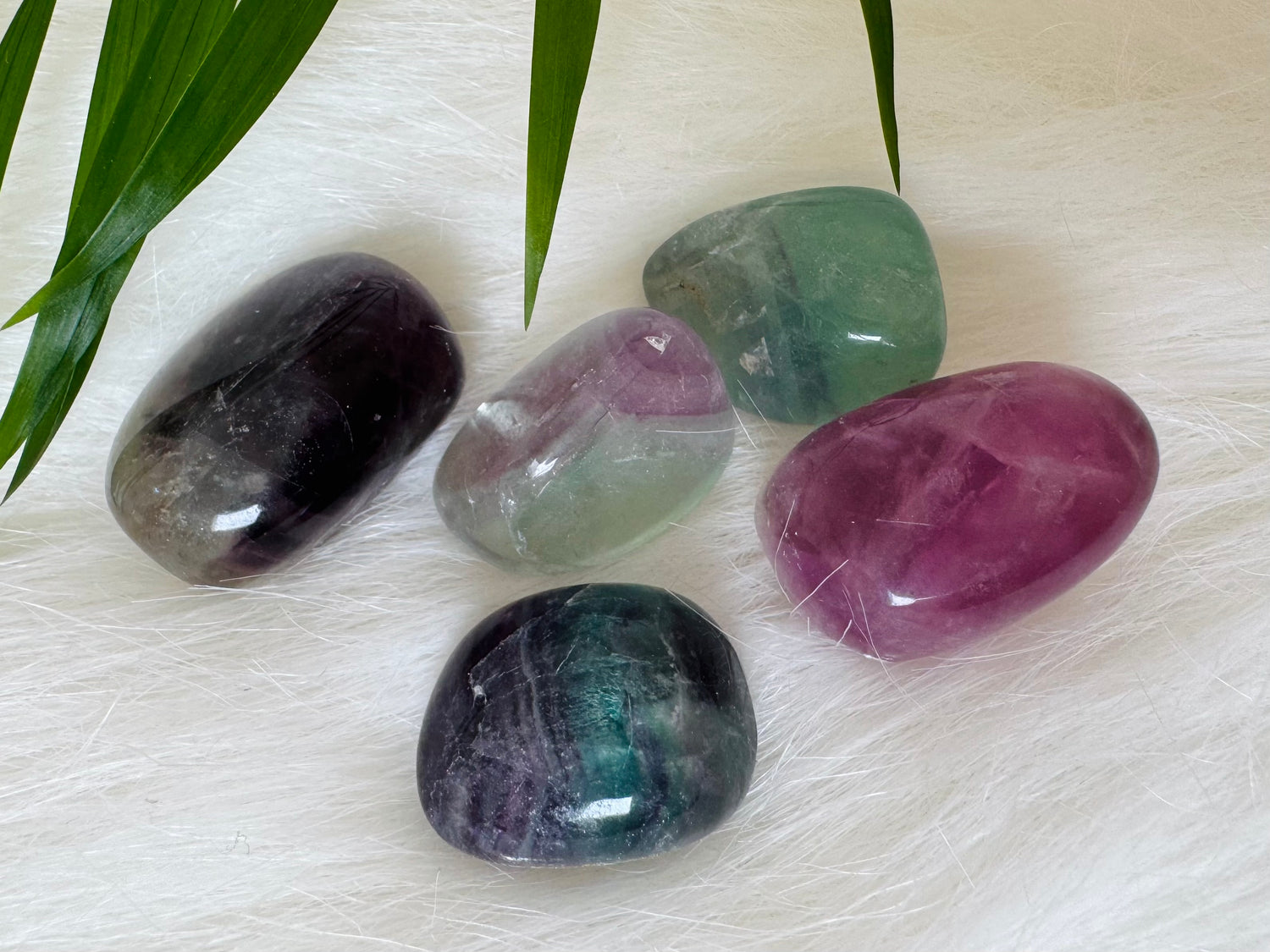 Fluorite Tumbled - Moon Room Shop and Wellness