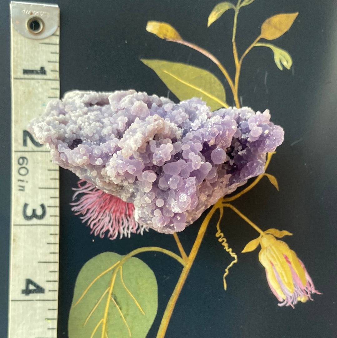 Grape Agate Botryoidal Specimen 118 g Sulawesi, Indonesia - Moon Room Shop and Wellness