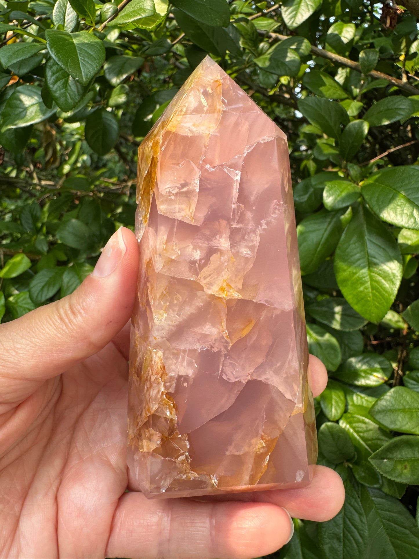 Guave Rose Quartz w Golden Healer - Gorgeous! 328 g - Brazil - Moon Room Shop and Wellness