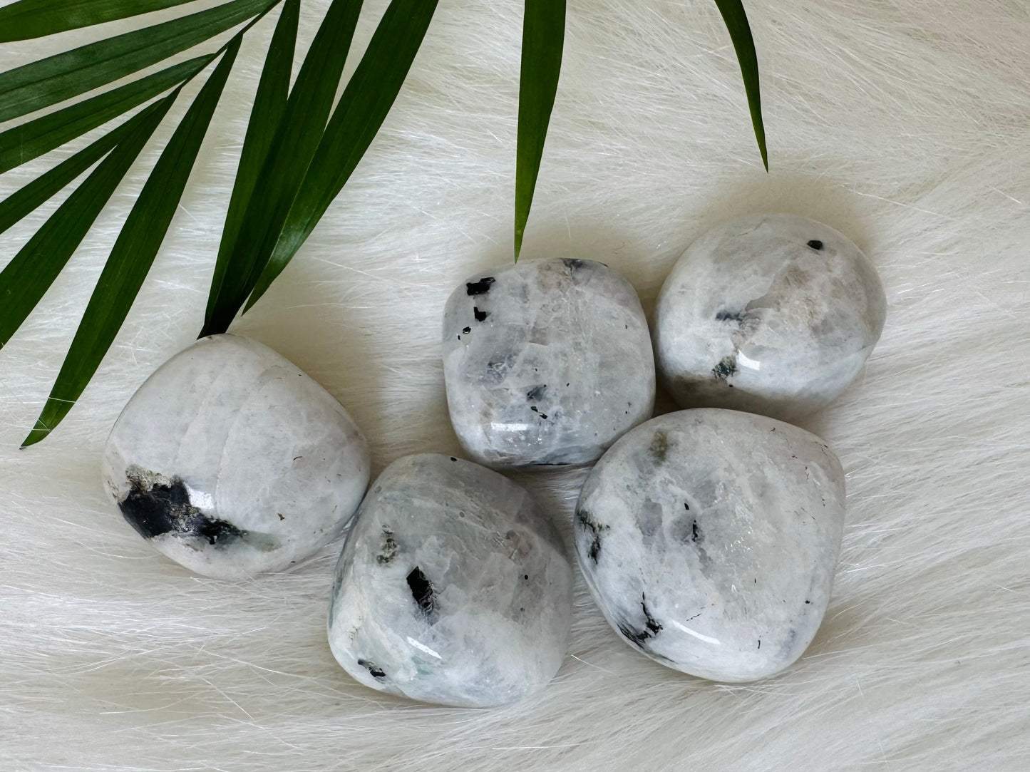 Rainbow Moonstone Tumbled - Moon Room Shop and Wellness
