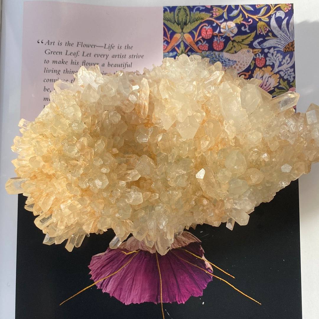 Champagne Quartz Specimen 1.31 lbs - Moon Room Shop and Wellness