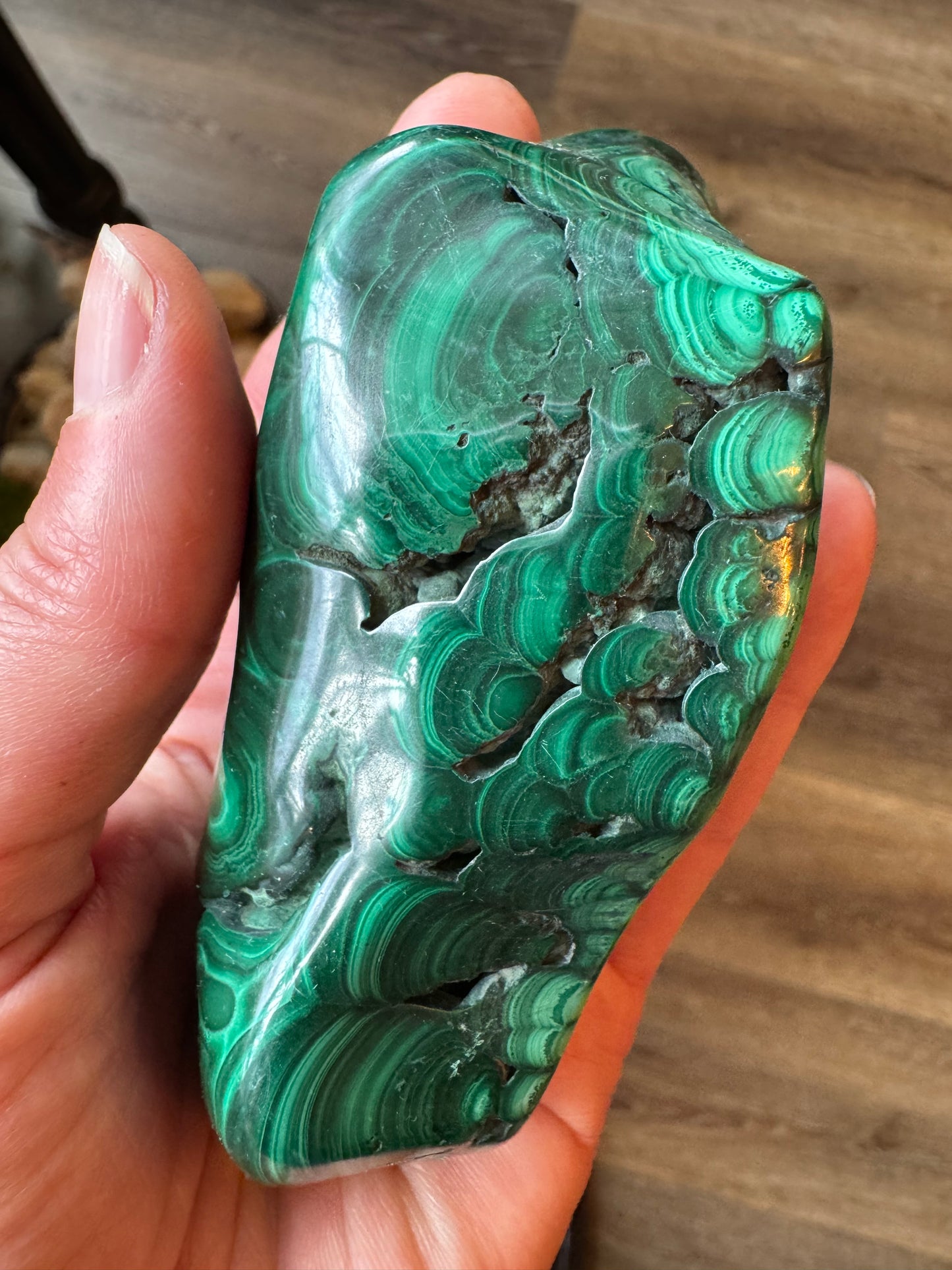 Malachite Freeform 366 g -Congo Polished Beauty! - Moon Room Shop and Wellness