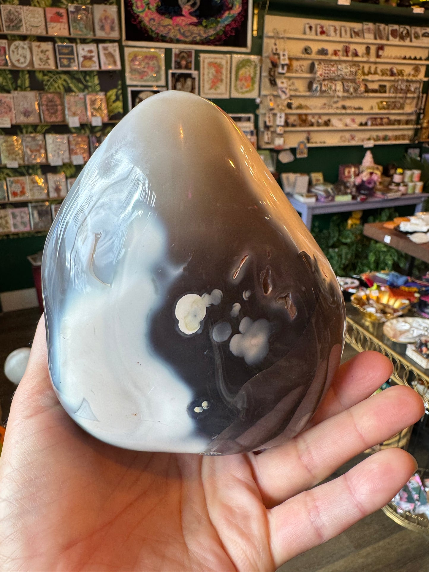 Orca Agate Freeform 3.11 lb - Moon Room Shop and Wellness